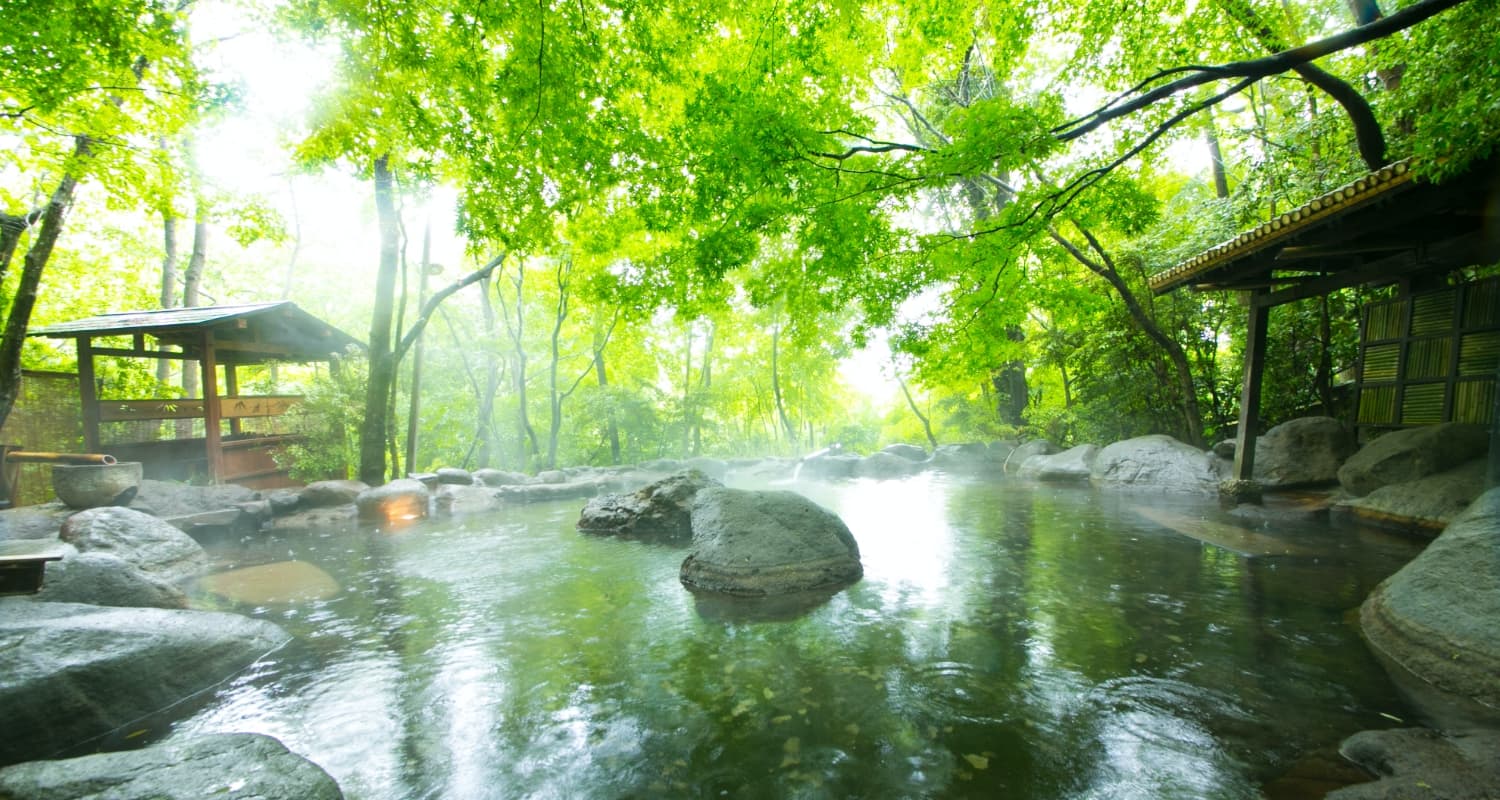 Misty open-air rotenburo hot spring bath surrounded by lush green maples at the Yufuin onsen ryokan