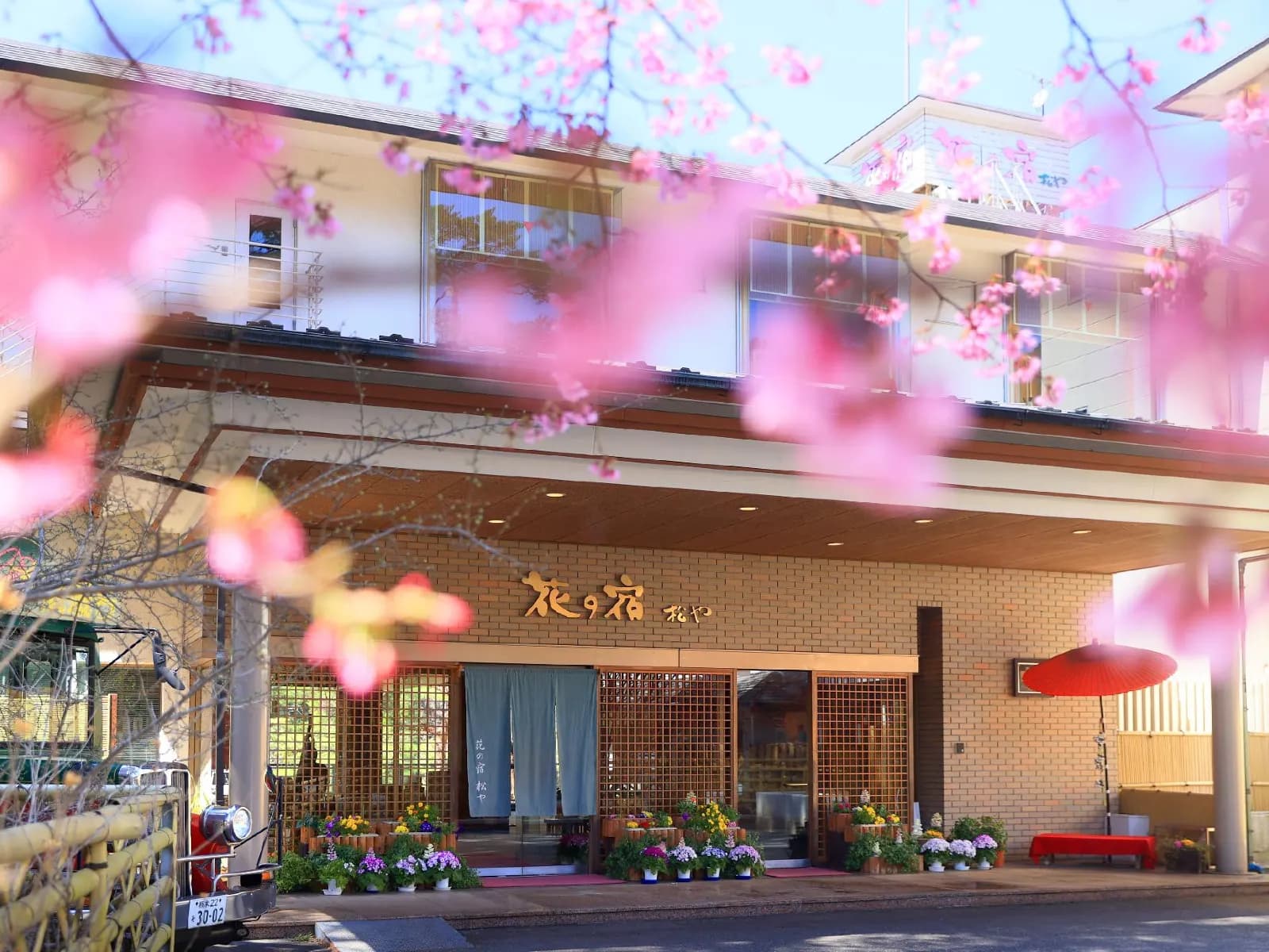Entrance framed by cherry blossoms