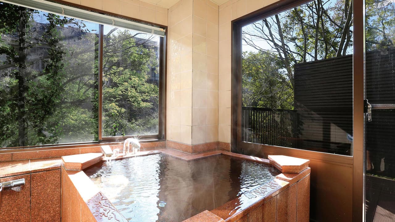 Private stone hot-spring bath beside large windows with woodland views