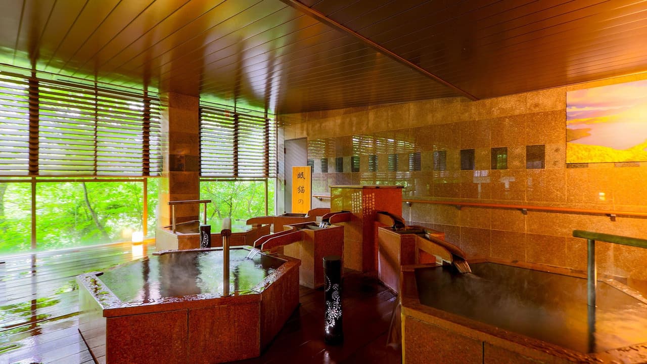 Indoor hot-spring bathing hall facing green forest through wide windows