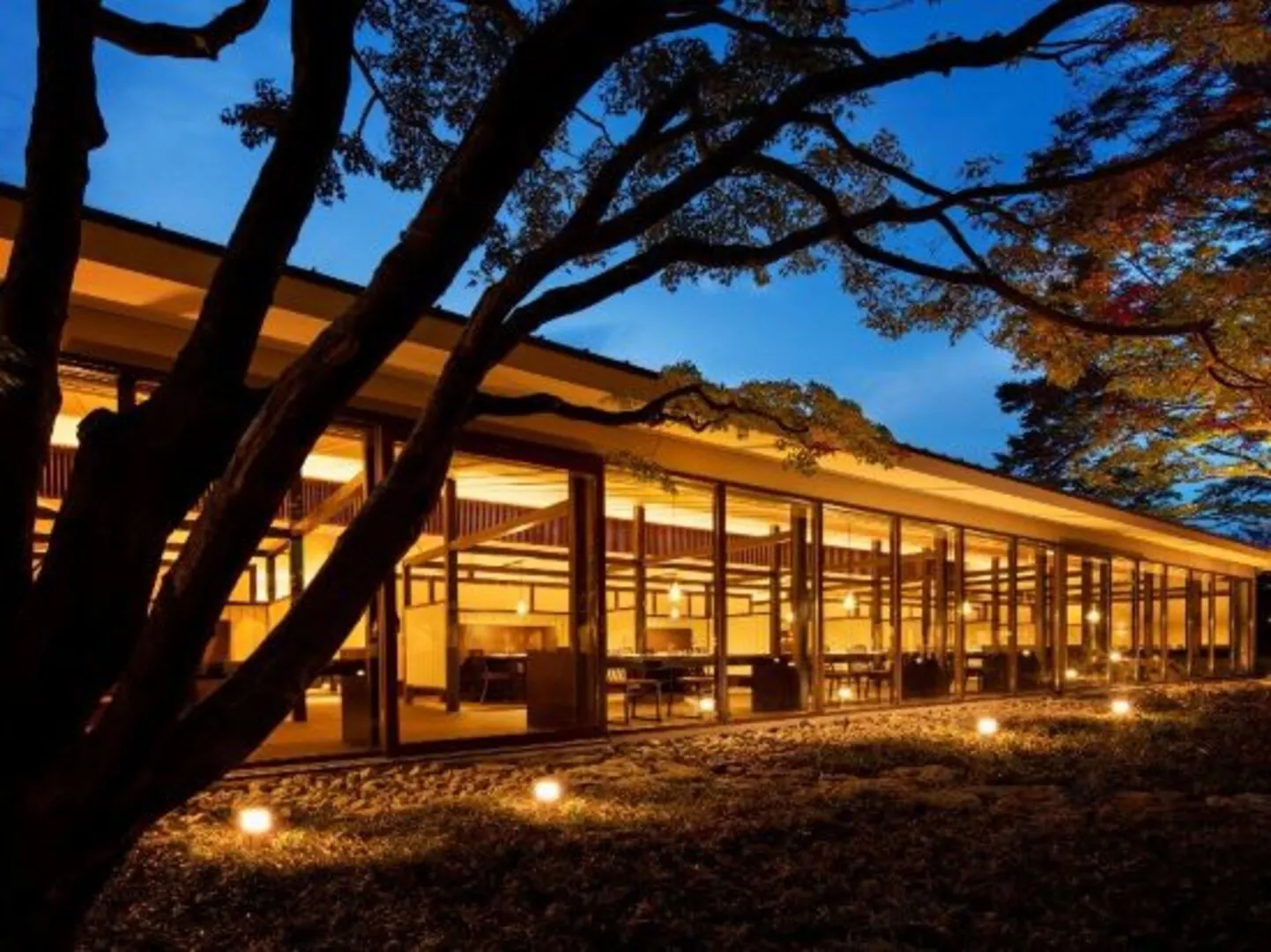 Glass-walled dining hall glowing at night among the trees