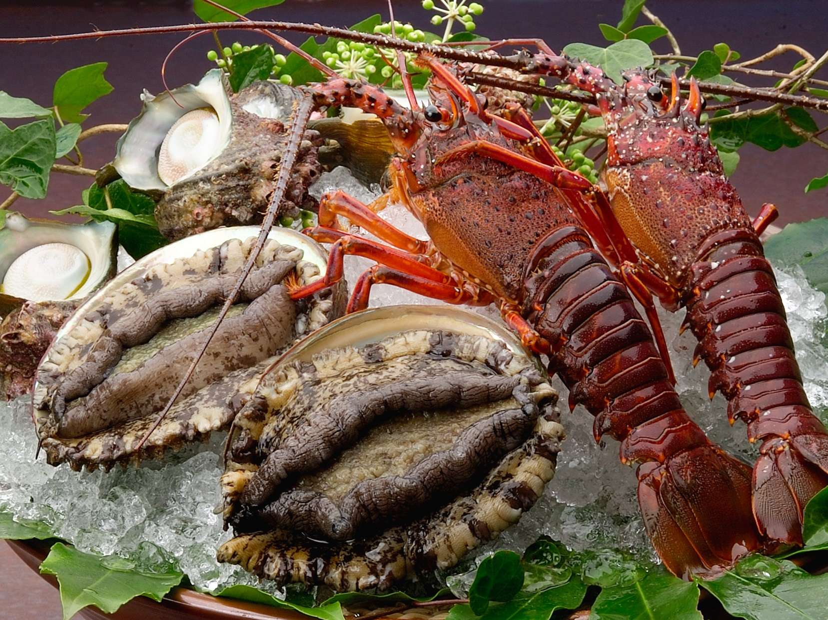 Fresh seafood platter of spiny lobster and abalone on ice for kaiseki dining at Tsuki no Usagi, Izu-Kogen