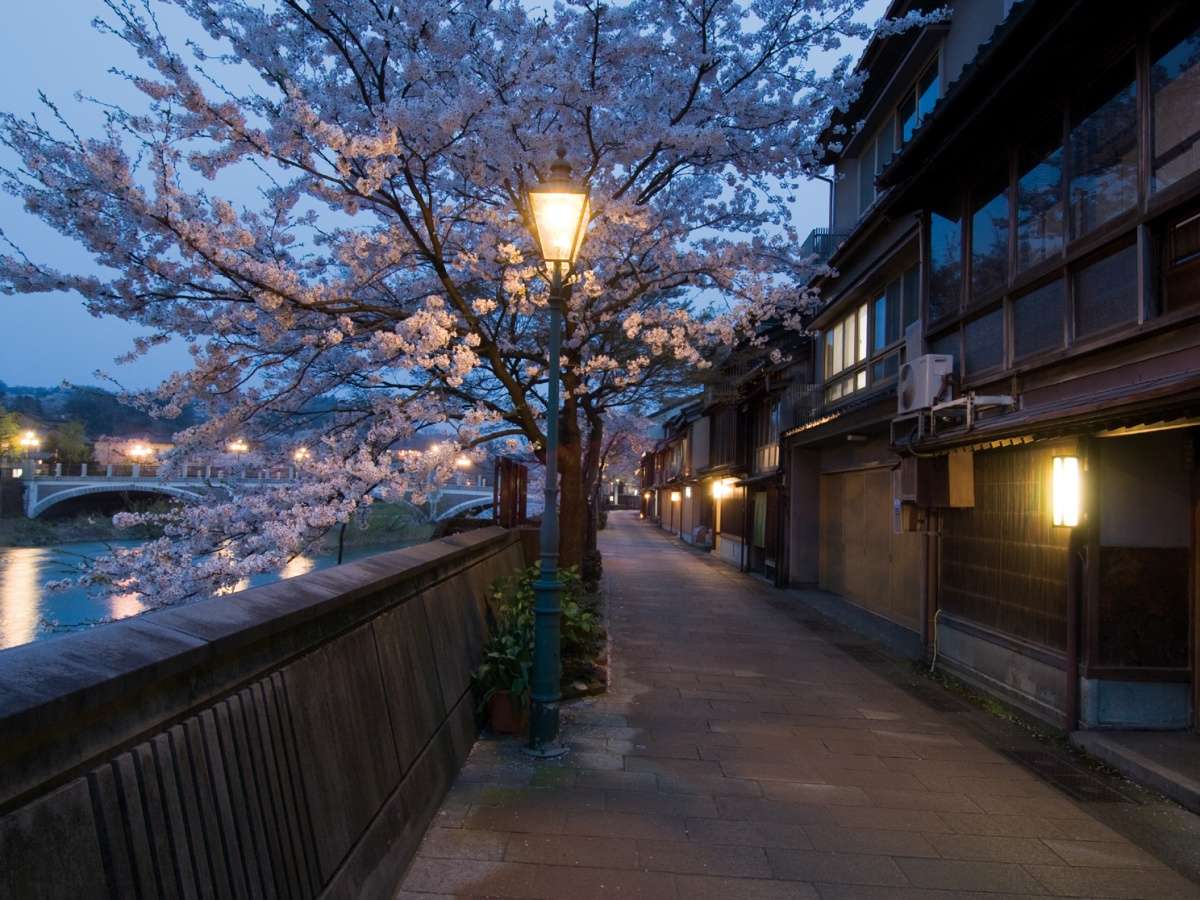 やまの尾 庭を望む和室