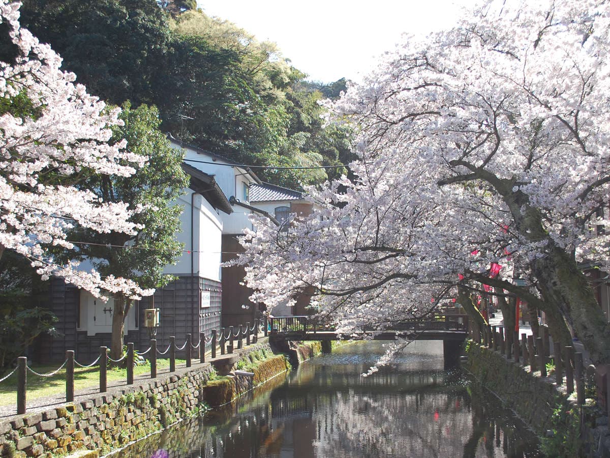 Wooden open-air bath at Fujimiya with a green garden outlook
