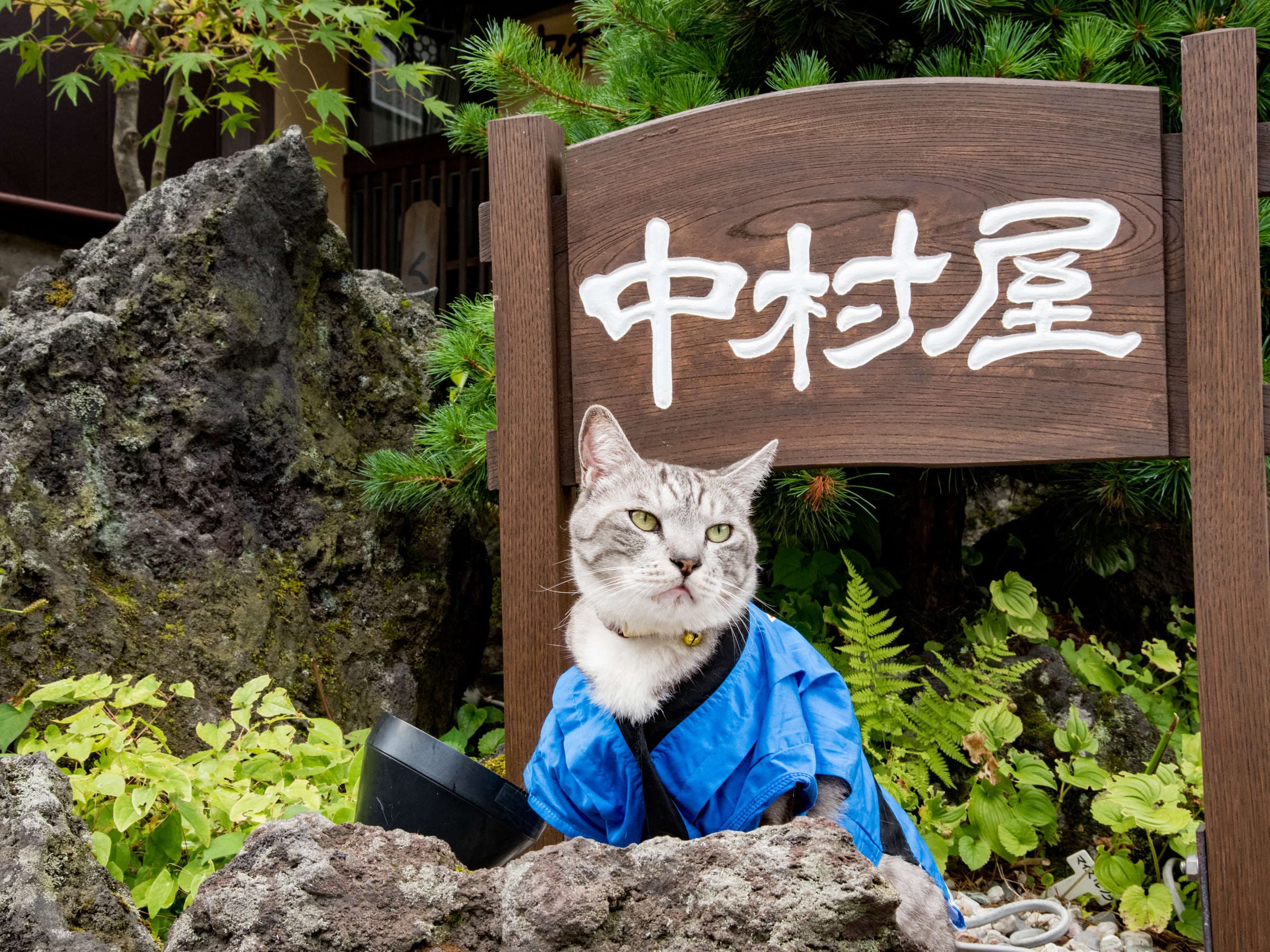 Nakamuraya Ryokan, Kusatsu Onsen