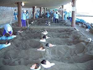 吟松 名物 砂むし温泉
