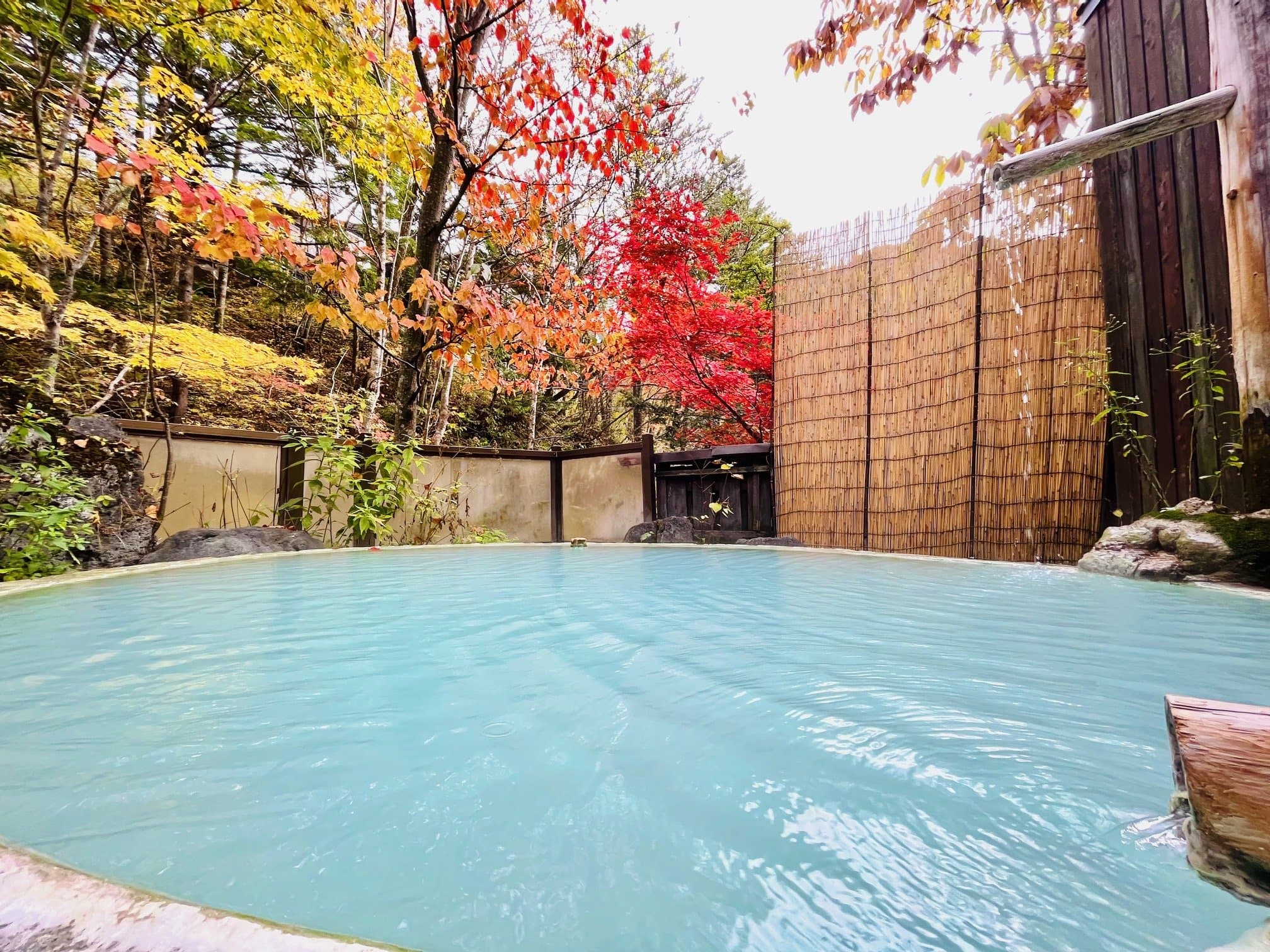 Open-air milky Shirahone Onsen bath at Sansuikan Yugawaso framed by red and gold autumn foliage and a bamboo screen