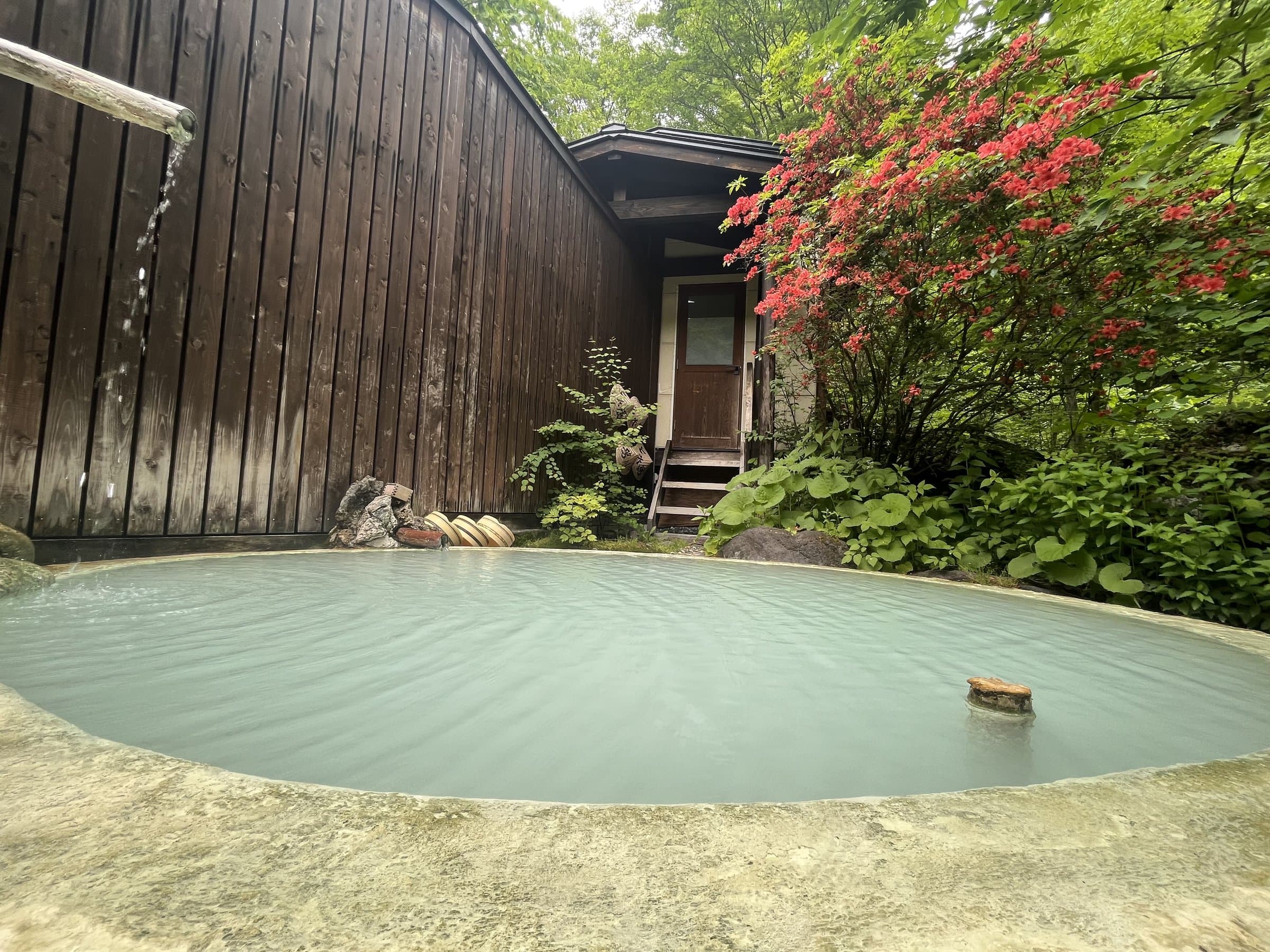 Round milky rotenburo at Sansuikan Yugawaso beside a dark timber wall with fresh greenery and blooming red azaleas
