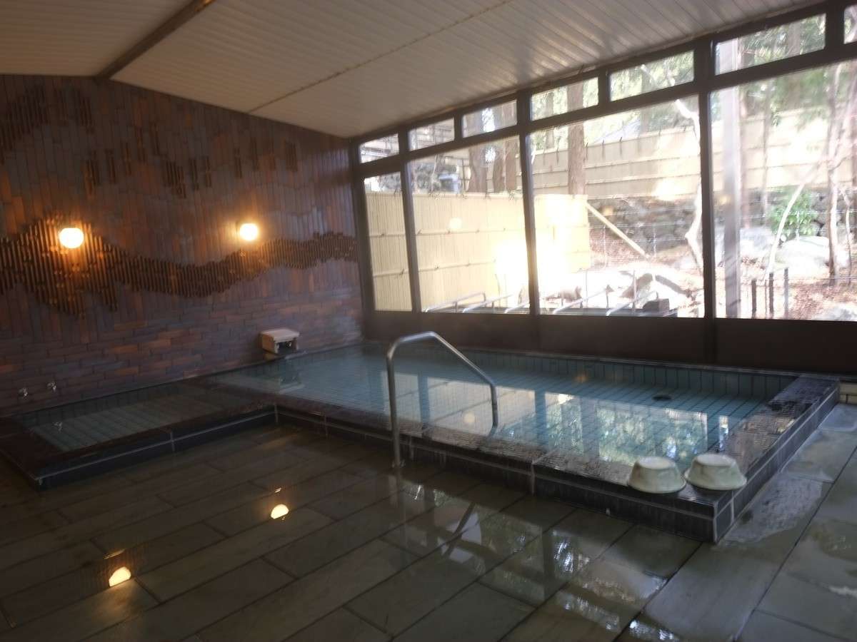 Indoor hot-spring bath with tiled mosaic wall and large windows opening to a wooded garden at Hotel Seikoen