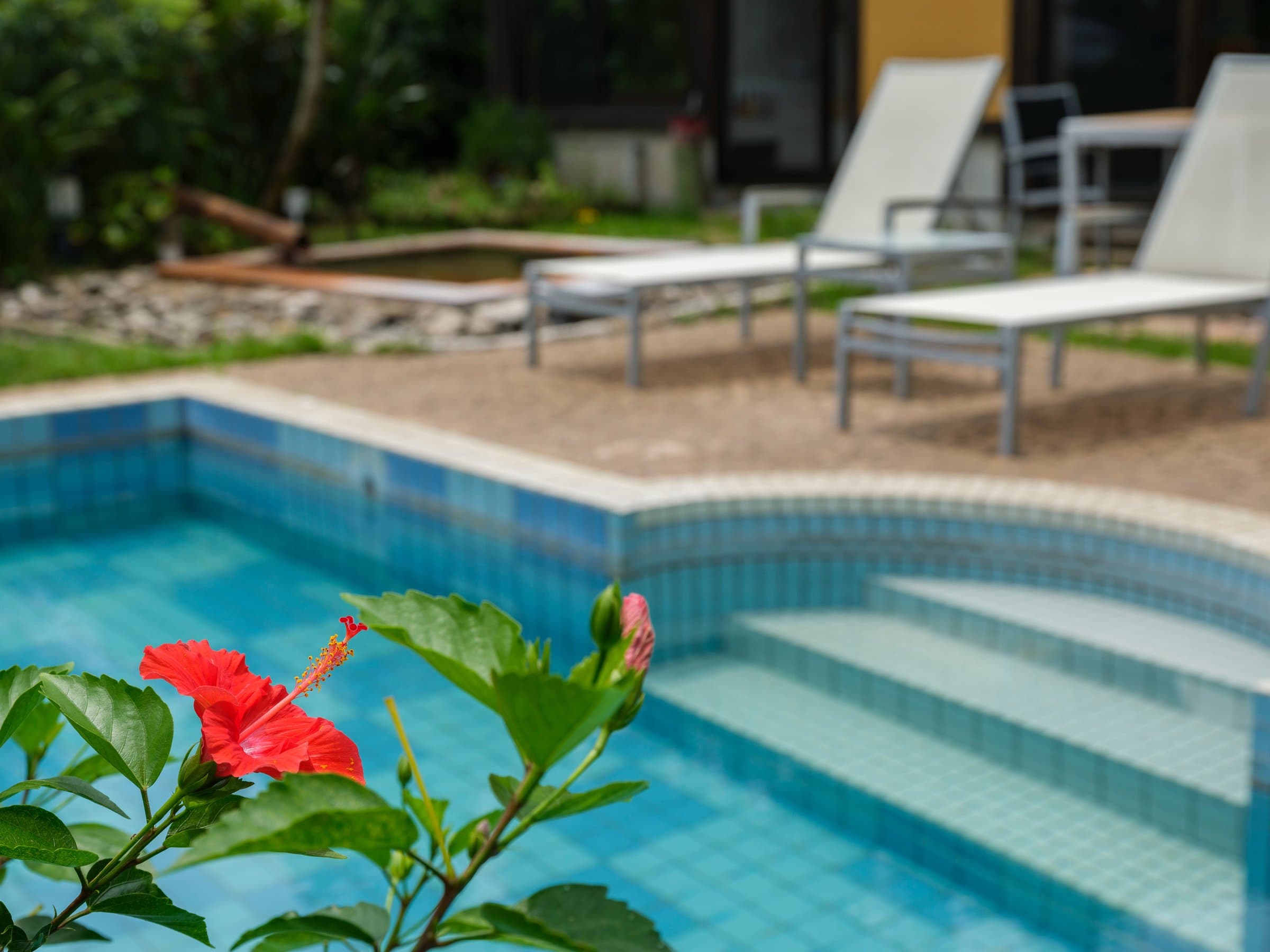 Red hibiscus blooming beside a private tiled pool and garden loungers at a Yurian villa, Ibusuki Onsen
