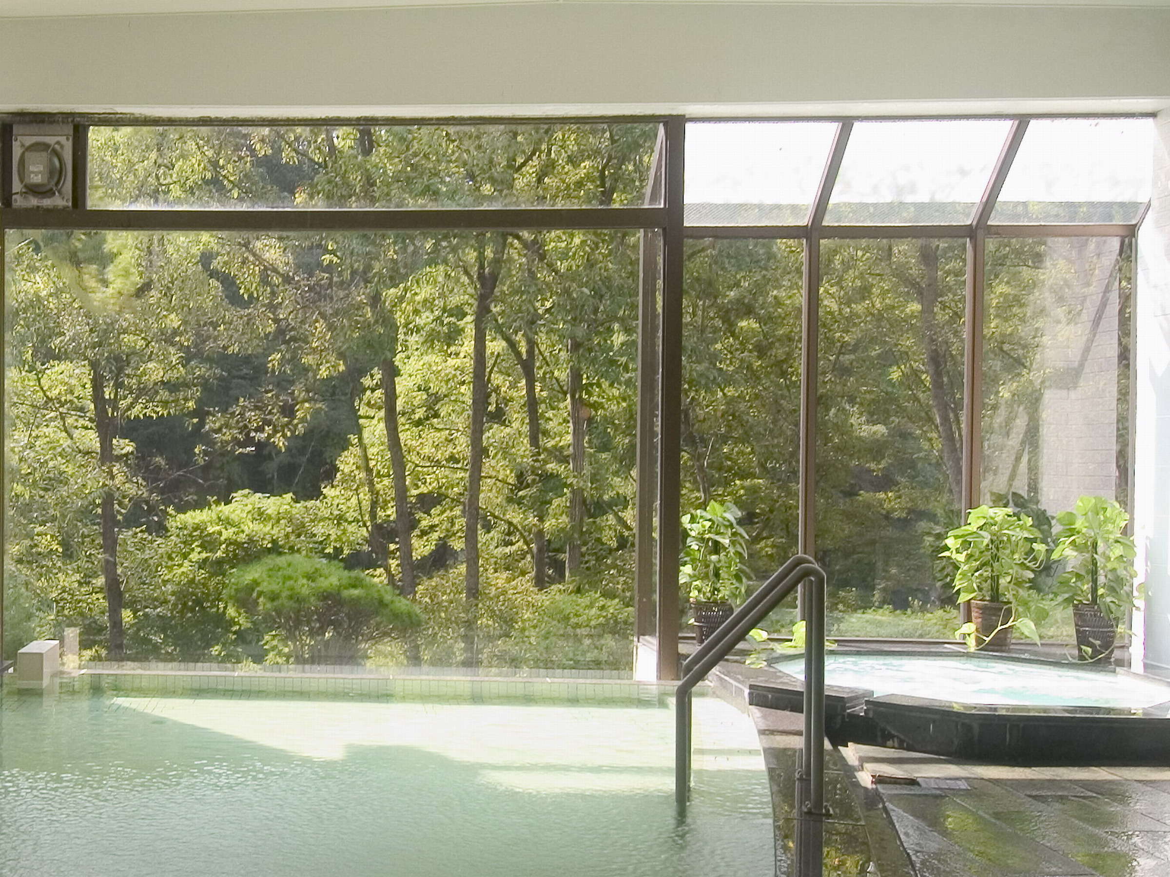 Indoor onsen bath with floor-to-ceiling windows facing a green forest