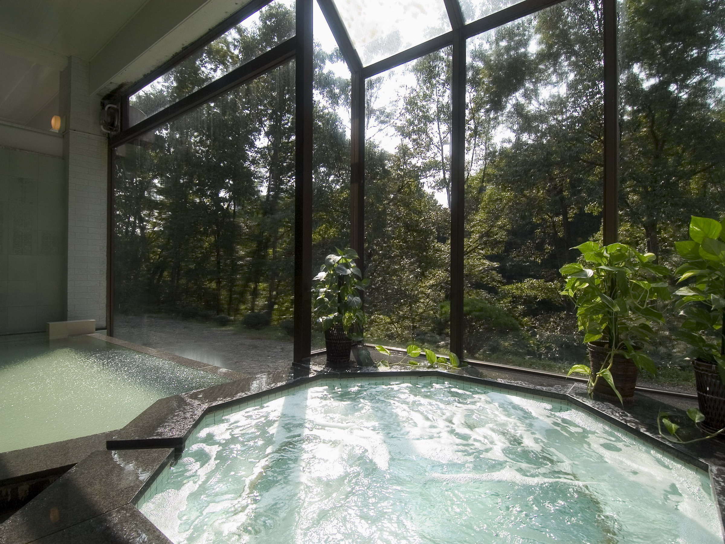 Indoor jacuzzi onsen bath under a glass conservatory roof overlooking woodland