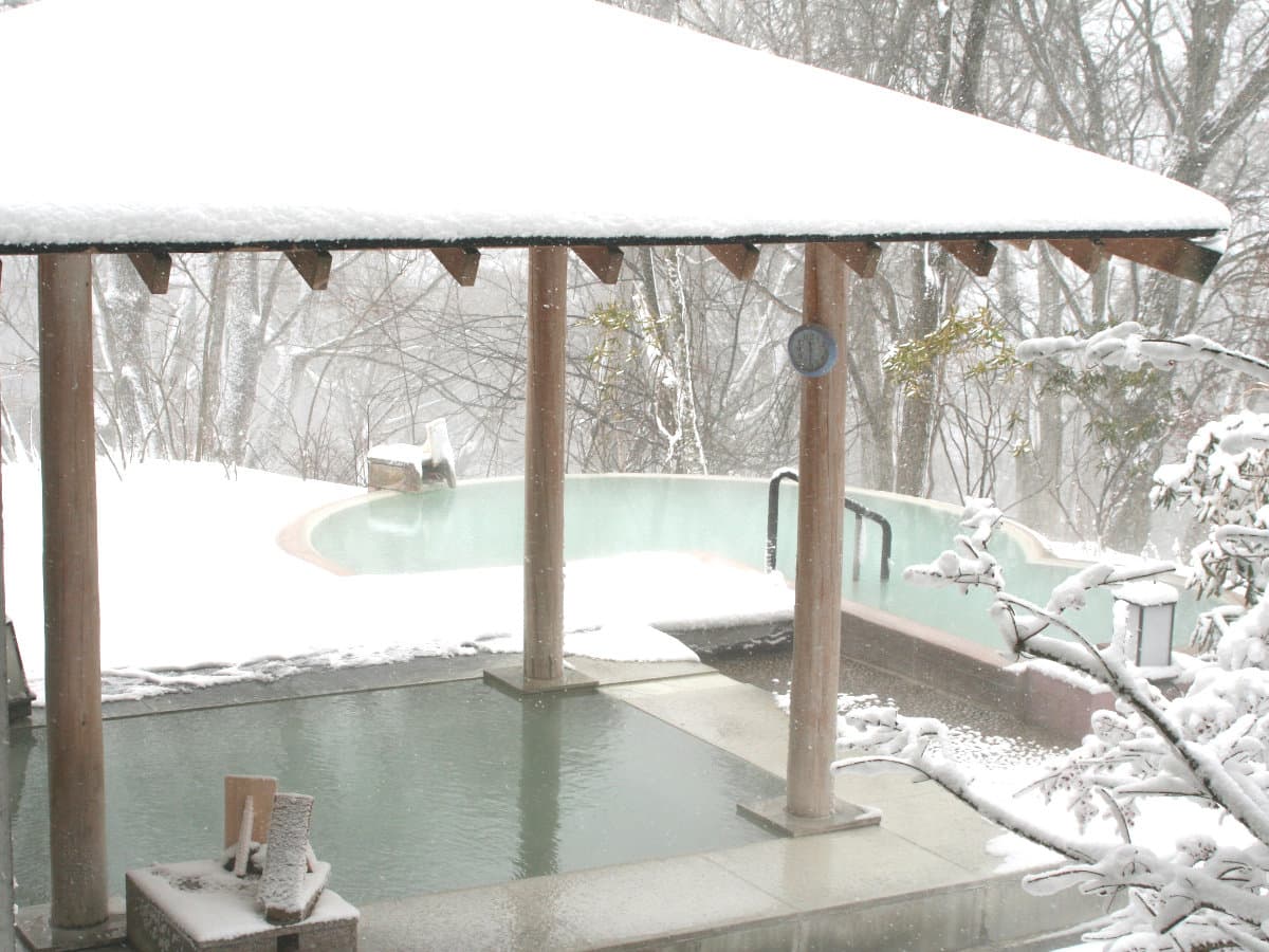 Snow-covered open-air onsen bath amid winter trees at Okunikko Hotel Shikisai in Nikko