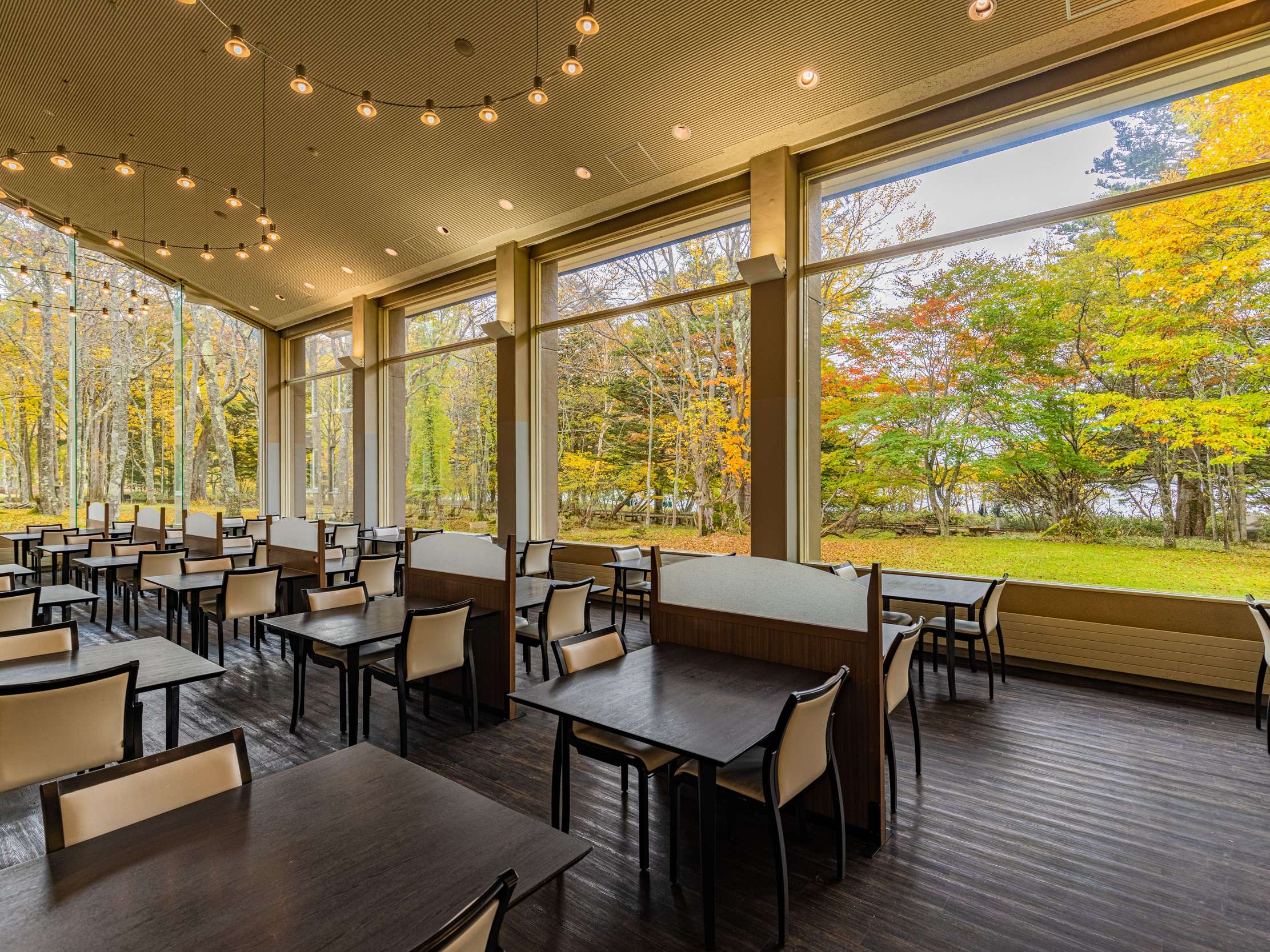 Dining hall with rows of tables and large windows framing vivid autumn-colored woodland
