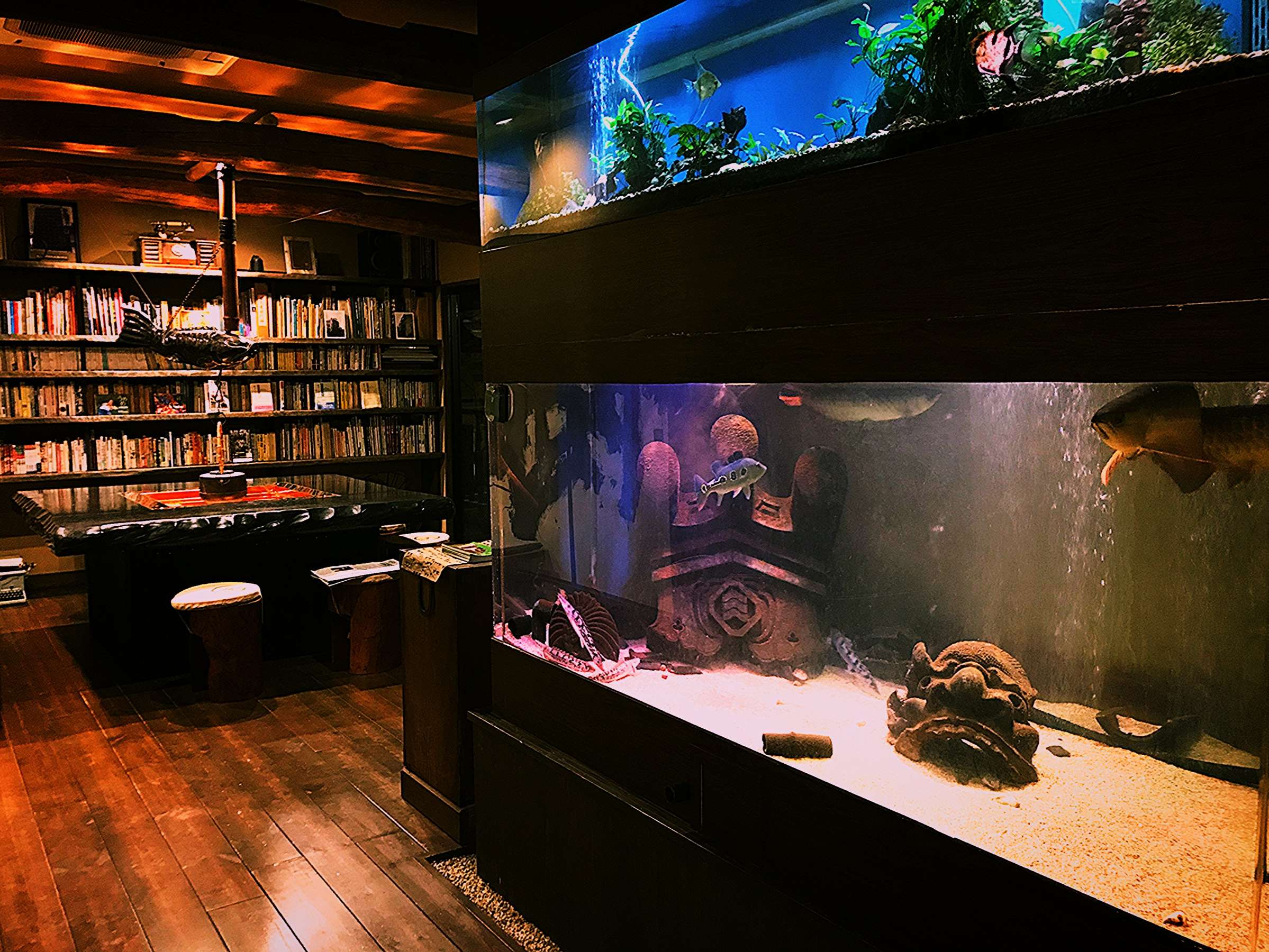 Lounge at Yado Taniya with a large aquarium, book-lined shelves and a billiard table on wooden floors