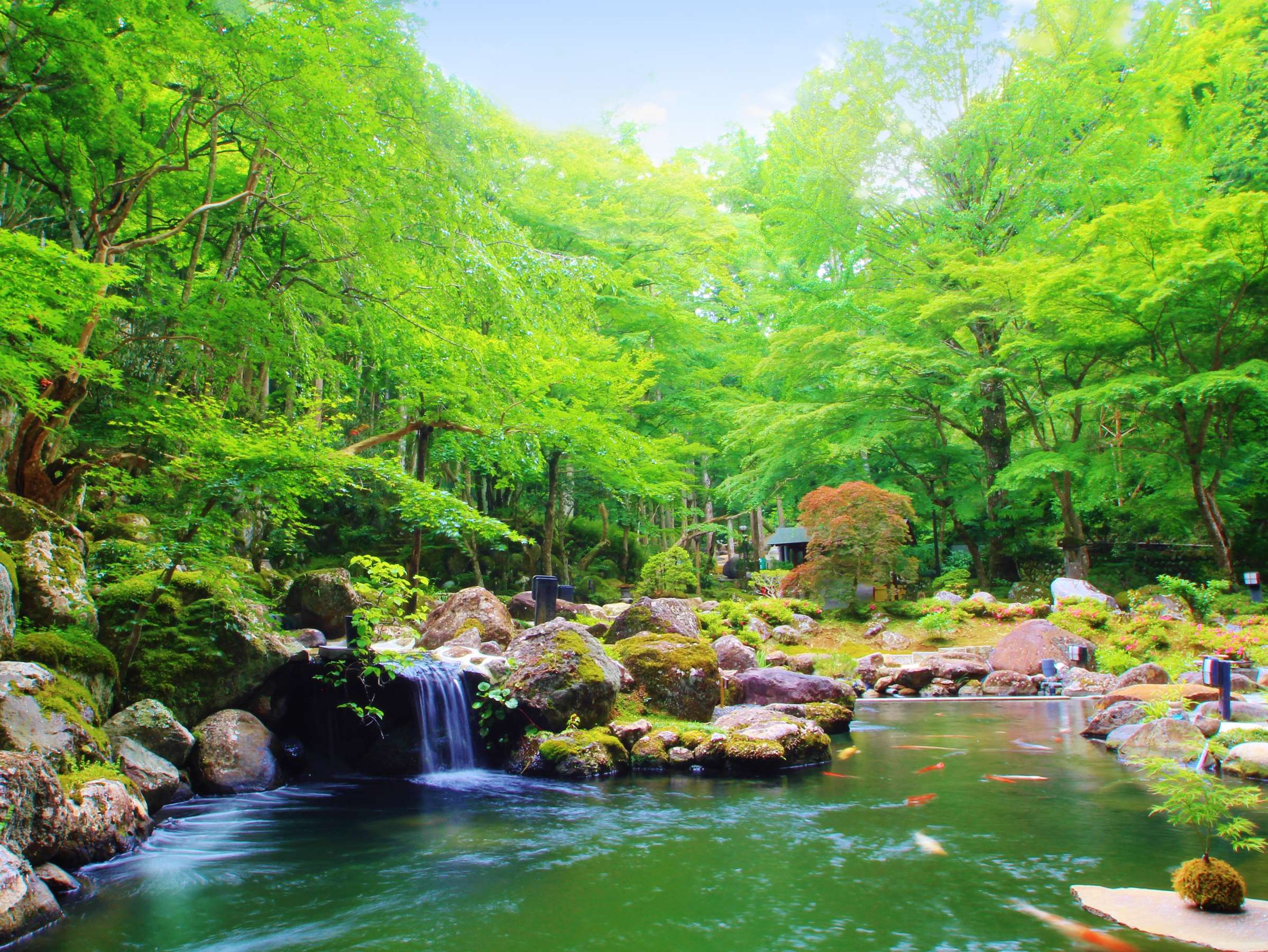 Lush green Japanese garden with a small waterfall and koi-filled pond surrounded by maple trees at SORA Togetsuso Kinryu, Shuzenji