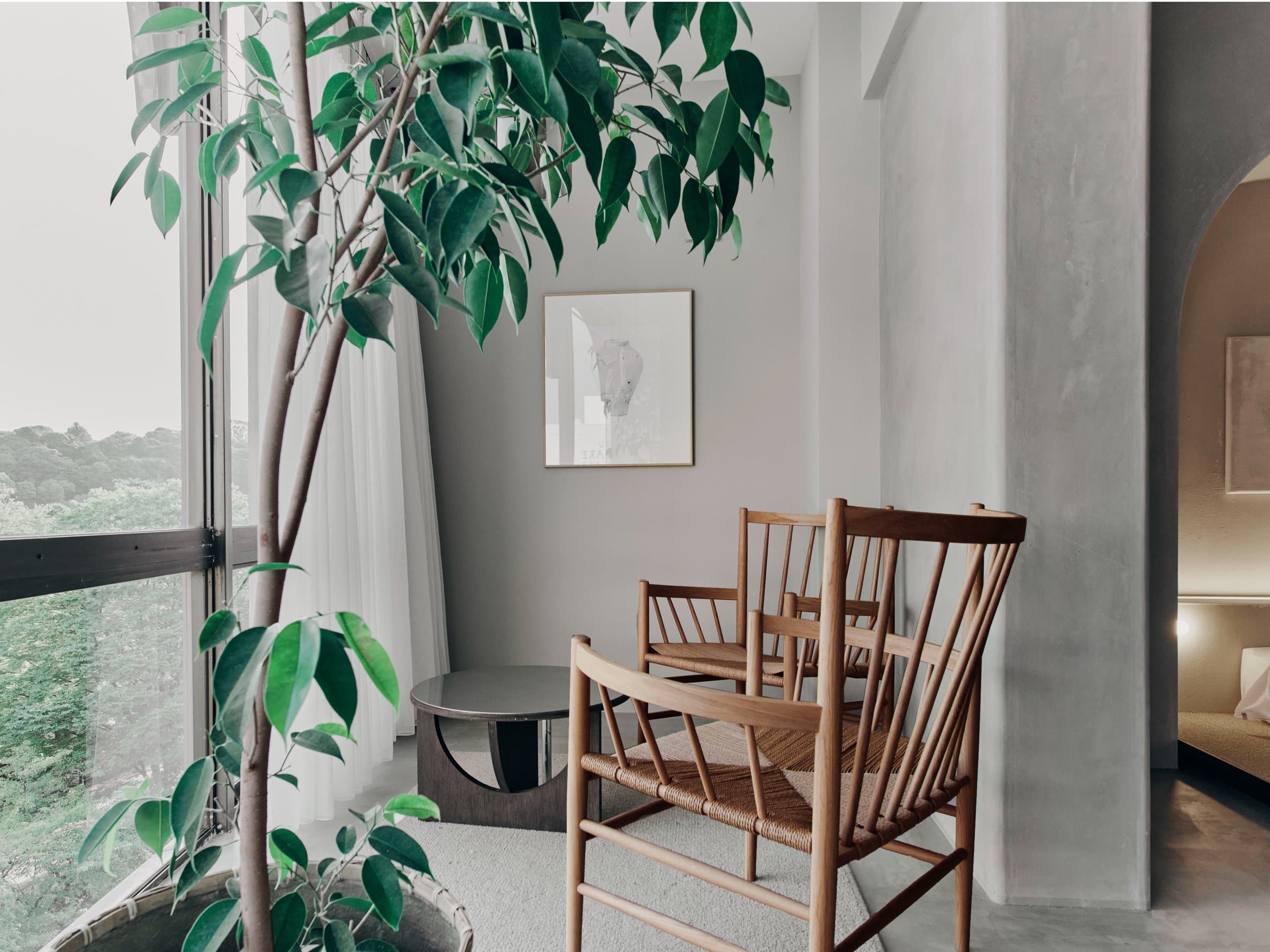 Quiet room corner at Korinkyo Kanazawa with woven wooden chairs, an indoor tree and a window framing greenery