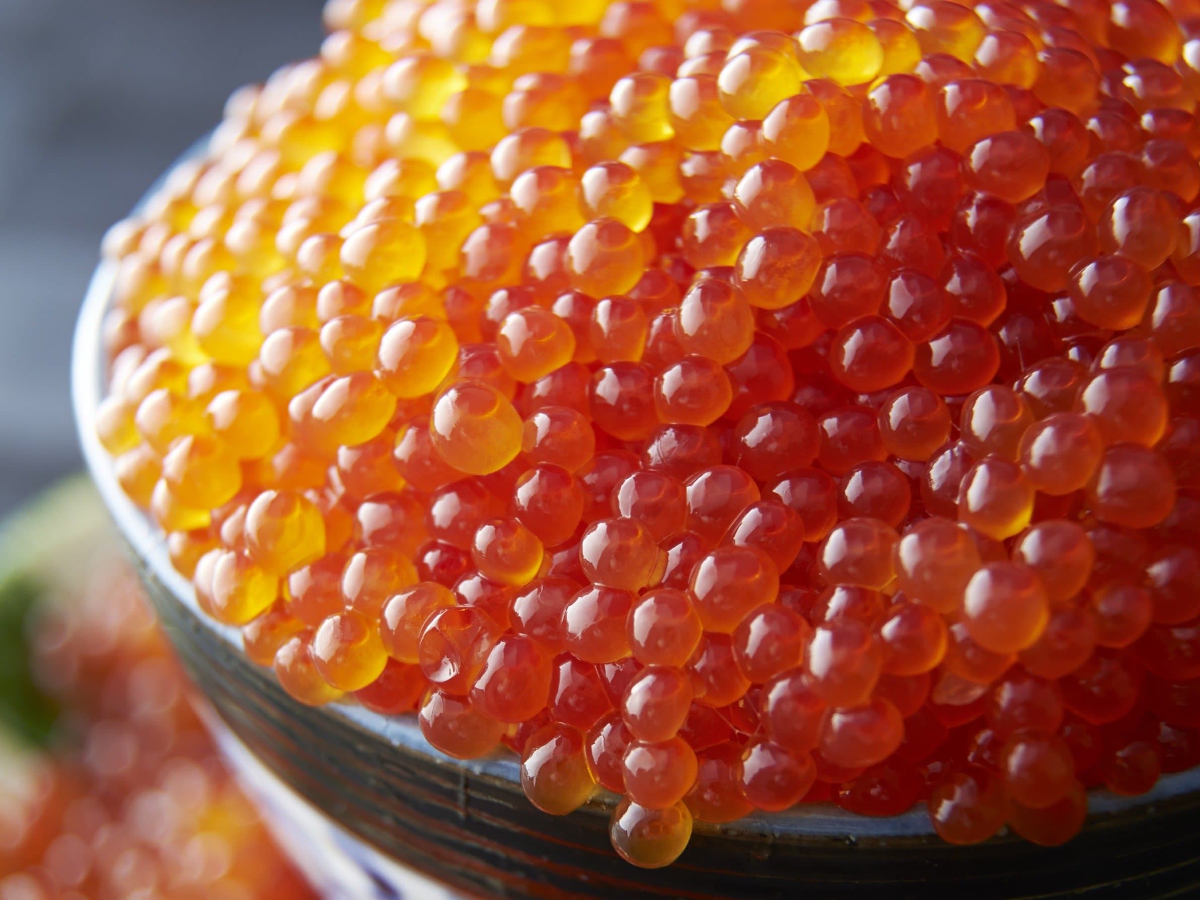 Close-up of a bowl heaped with glistening salmon roe ikura