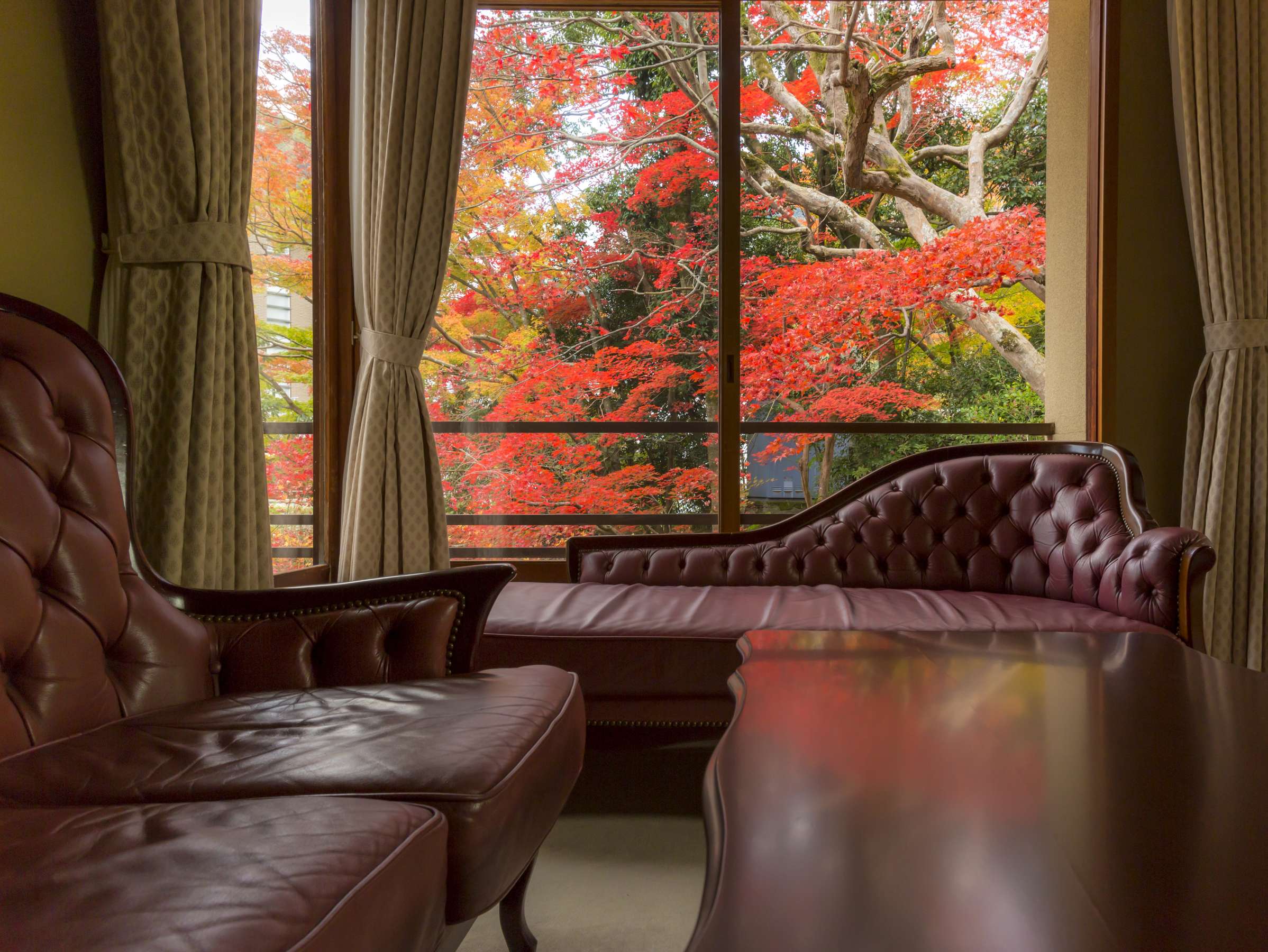 Garden-view lounge at Hashinoya Bekkan Ransui with leather chesterfield sofas framing a window full of crimson autumn maple leaves