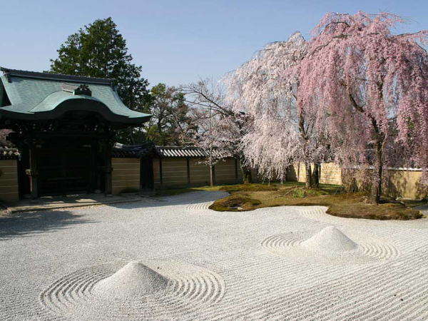 祇園佐の 庭園