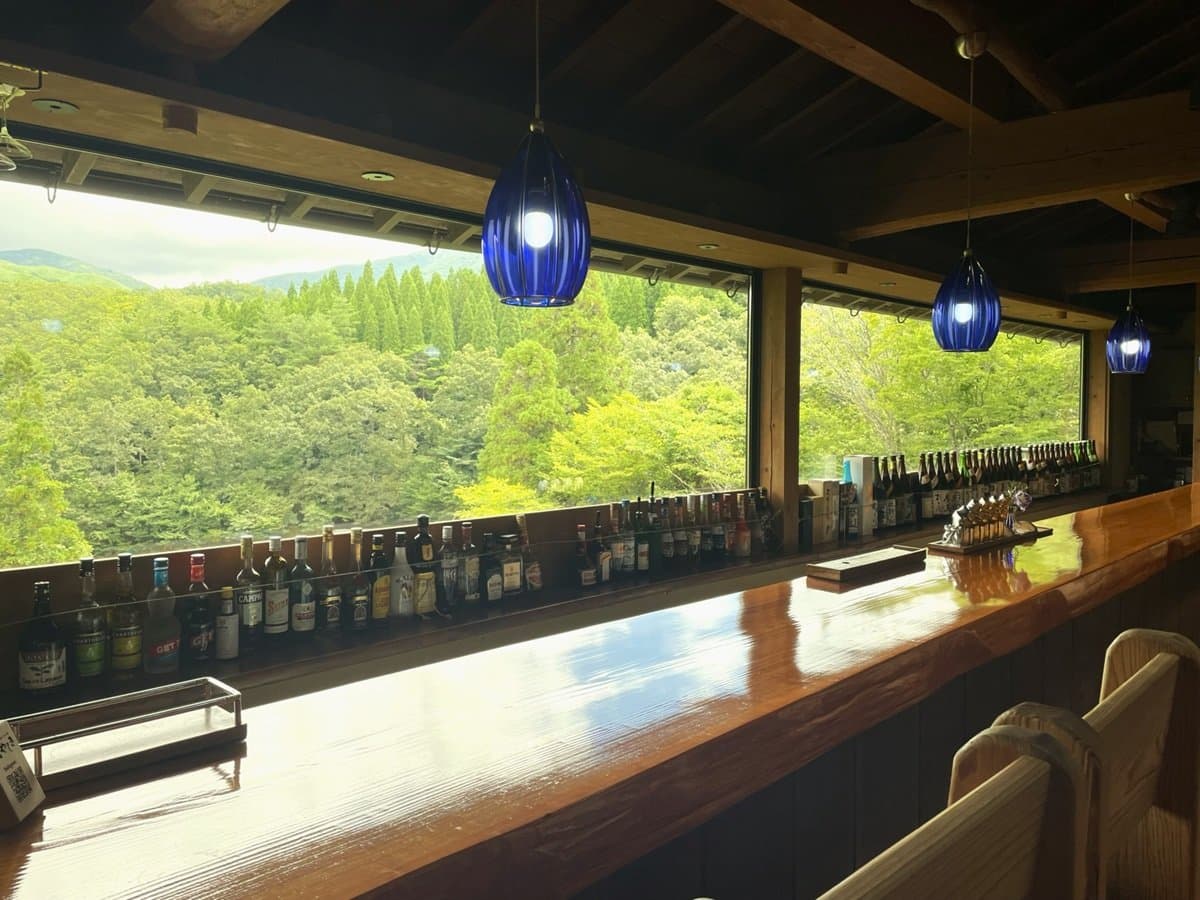 Bar lounge with large windows overlooking the surrounding forest