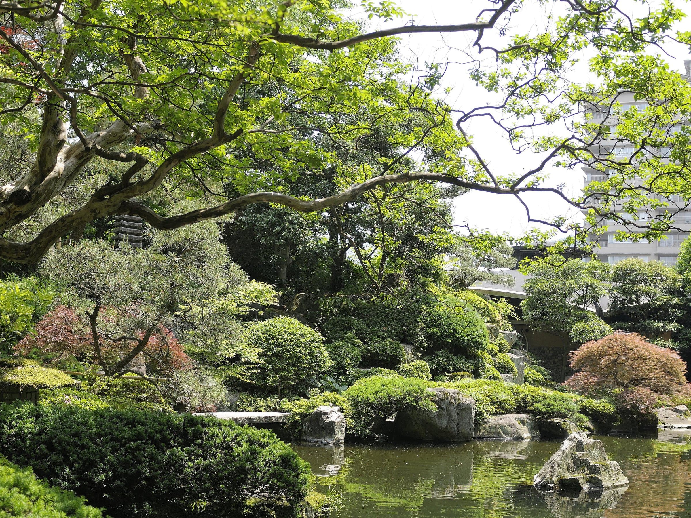 Strolling Japanese garden with maples, clipped shrubs and a koi pond reflecting greenery, Suimeikan, Gero Onsen