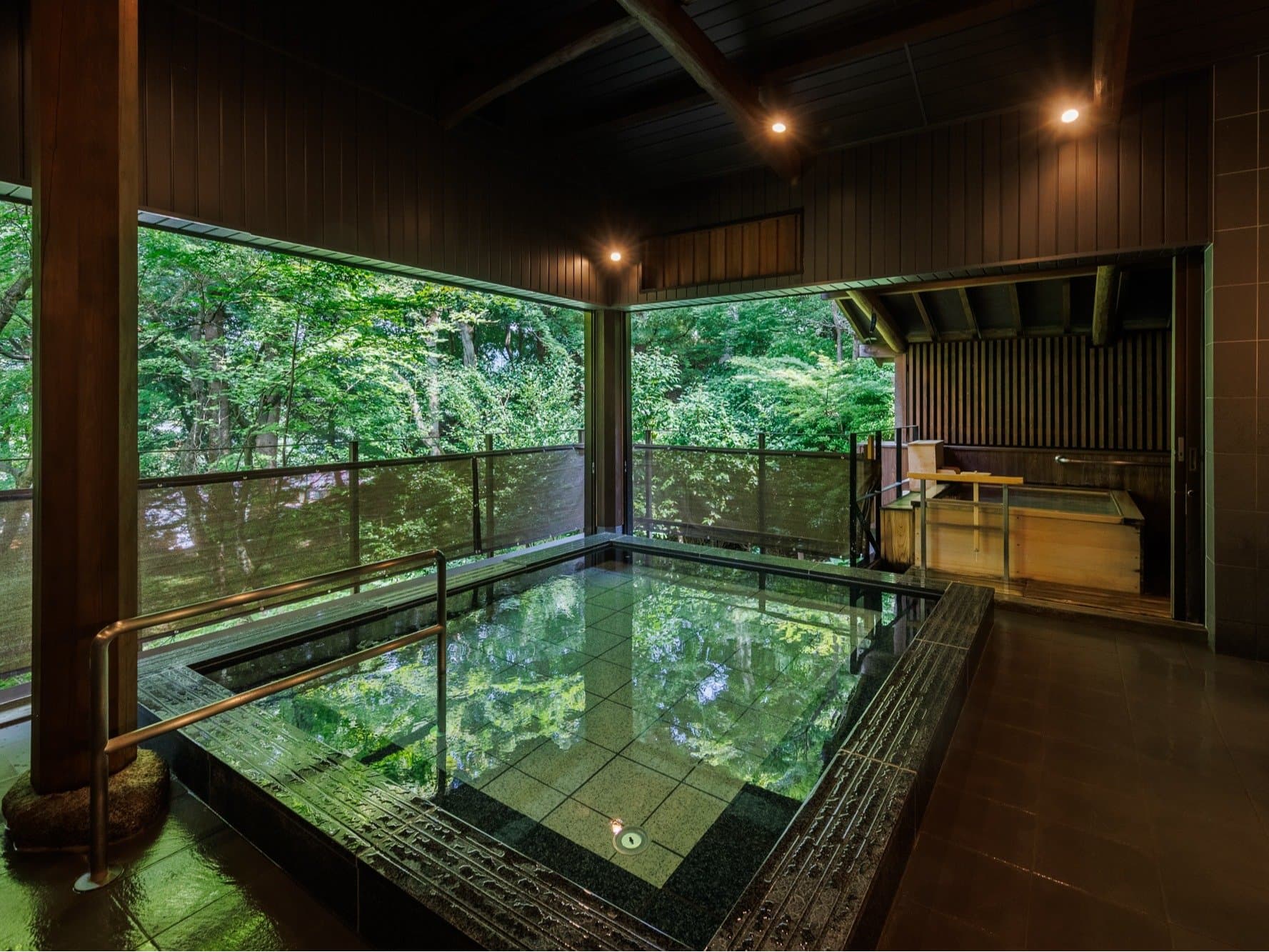 Indoor onsen bath at Nikko Hoshi no Yado with dark stone tub framed by floor-to-ceiling windows over the garden