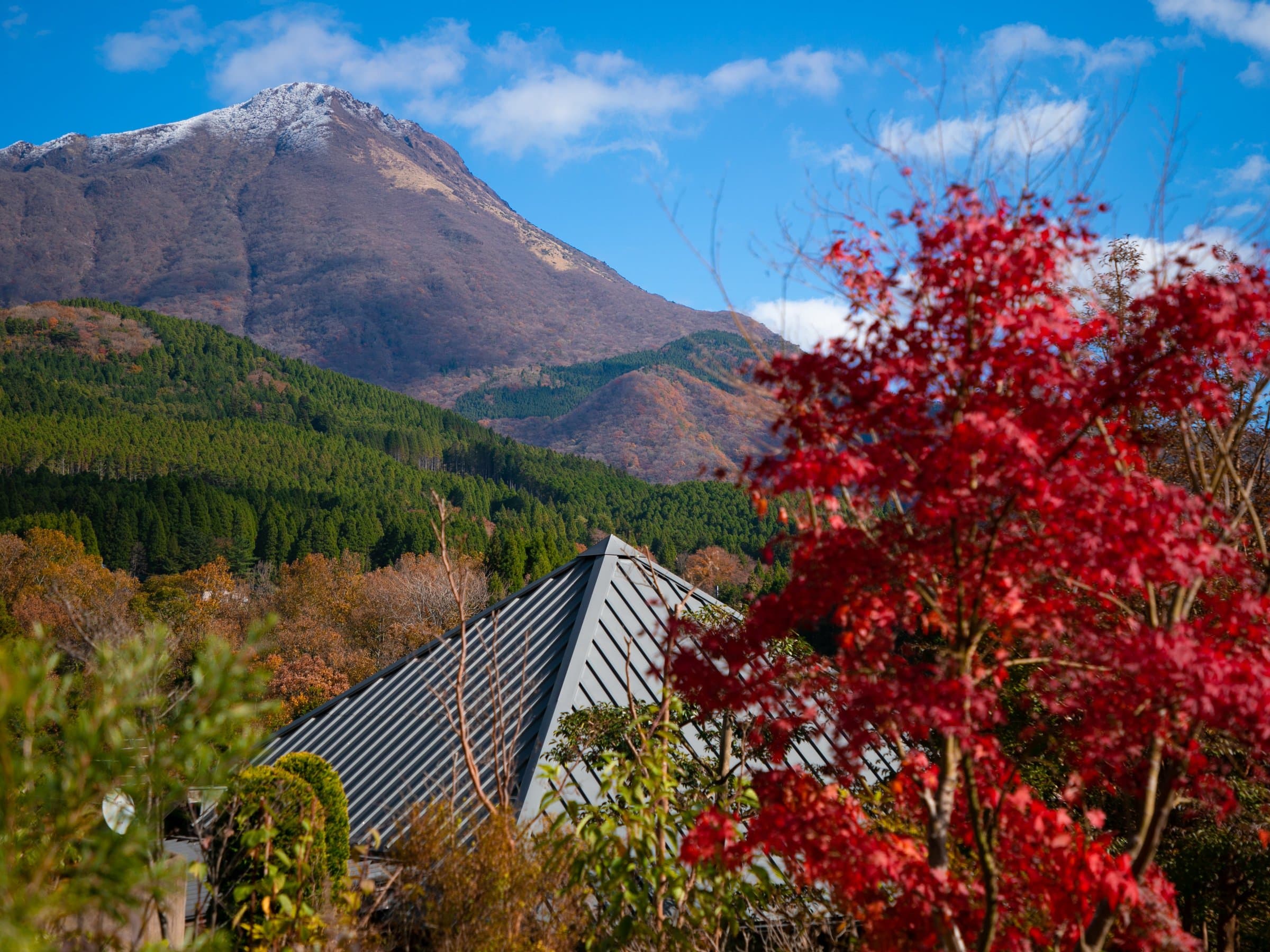 Snow-capped Mount Yufu framed by autumn maple leaves above the inn's tiled roof in Yufuin Onsen
