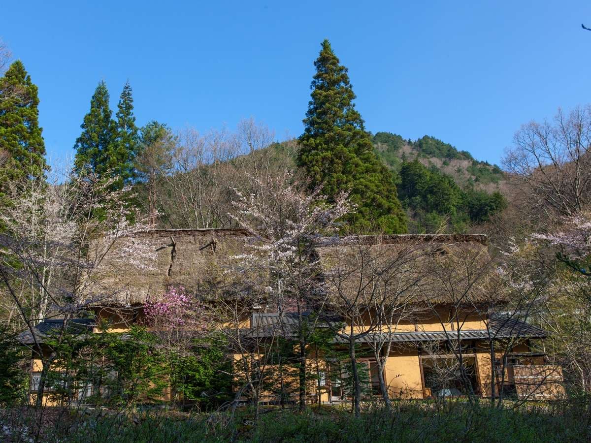 倭乃里 庭園