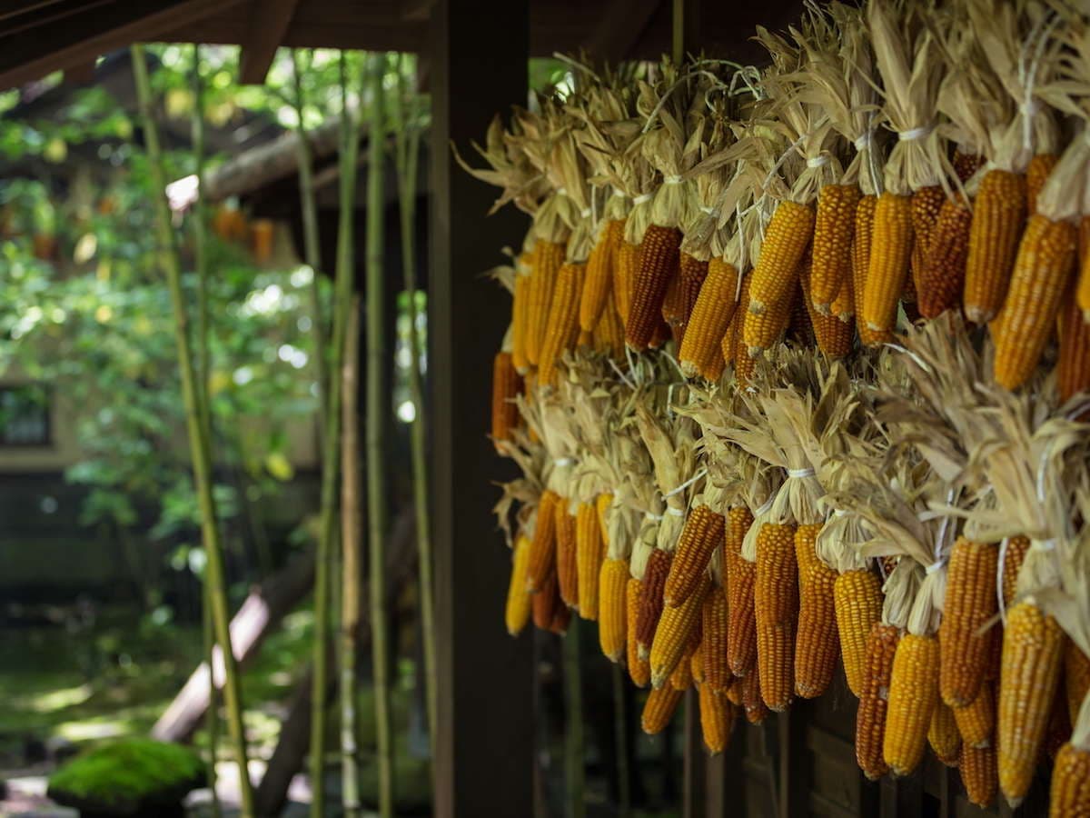 お宿 のし湯 館内 懐かしい風景