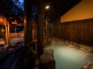 ルーセントタカミヤ