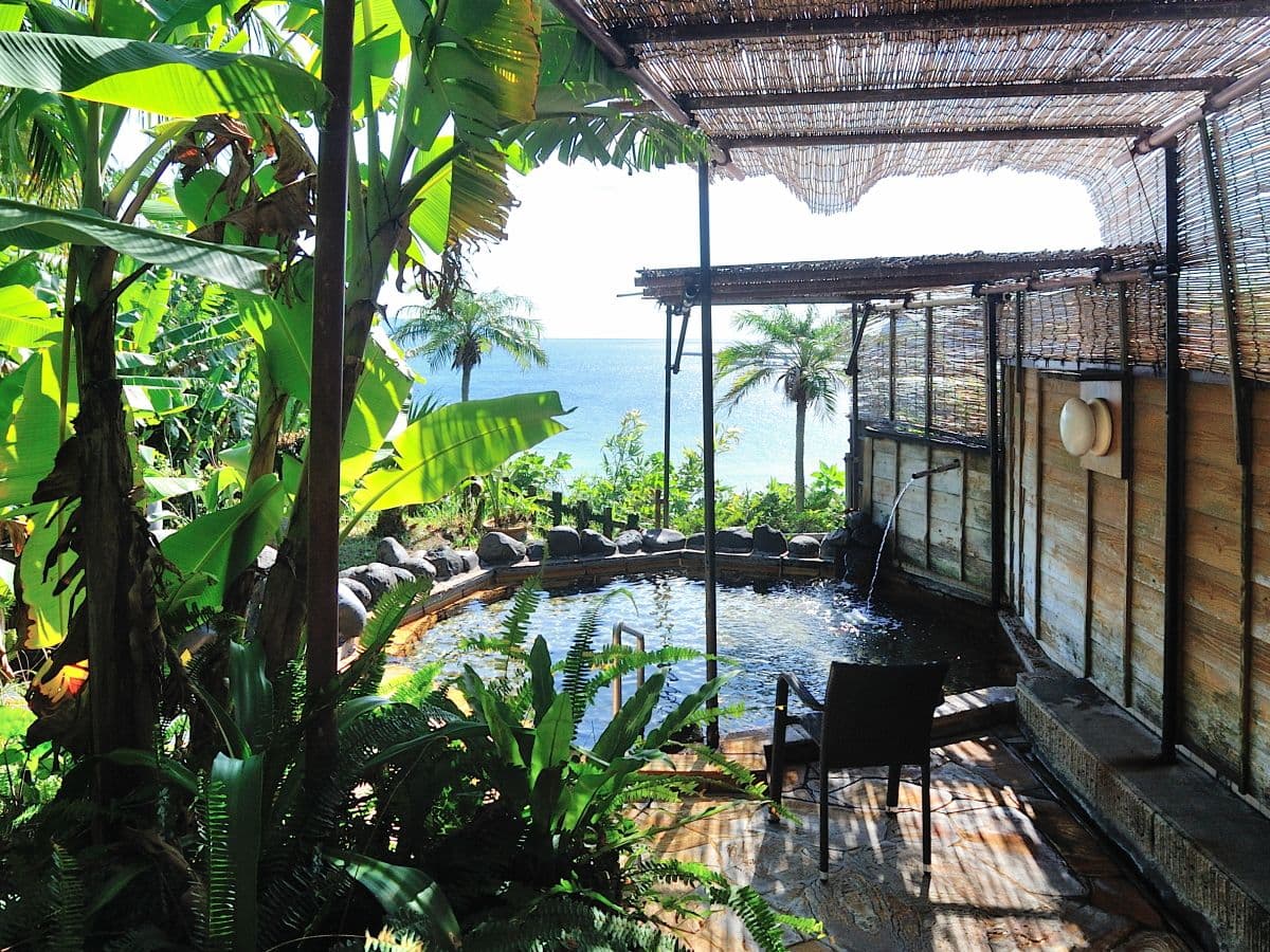 Open-air onsen bath surrounded by lush subtropical plants with an ocean view in Ibusuki