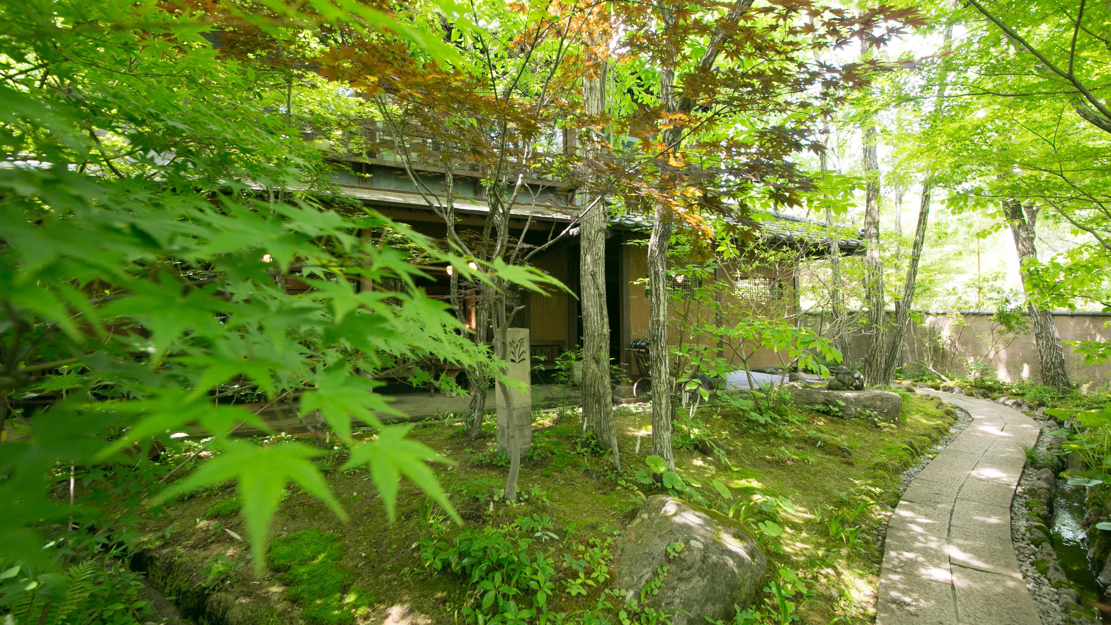 Oyado Nihon no Ashitaba ryokan in Yufuin, a wooden inn nestled among fresh green maples with a stone garden path