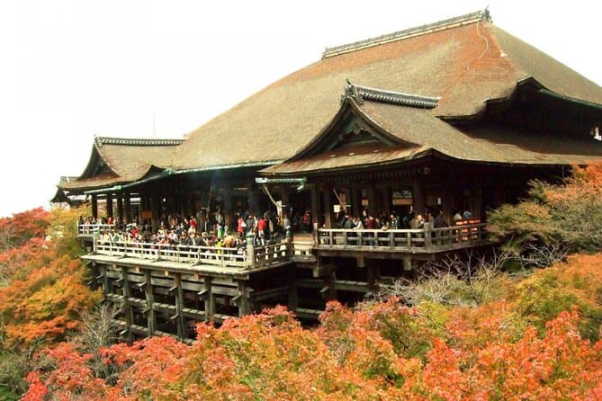 10 Must-see Spots in Kyoto One Day Private Tour 3