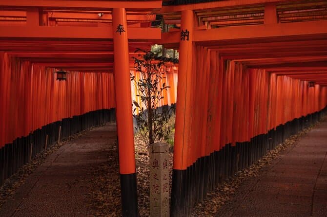 10 Must-see Spots in Kyoto One Day Private Tour 4