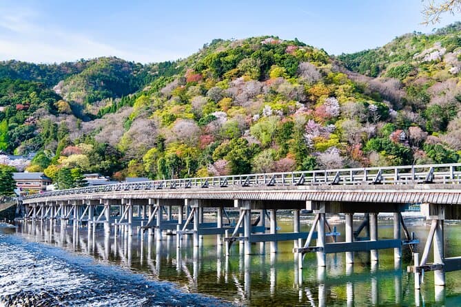One-Day Tour of Kyoto's Highlights from Osaka/Kyoto 1