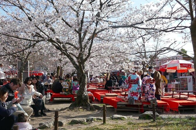 Kiyomizudera, Higashiyama and Yasaka Shrine Guided Walking Tour 3