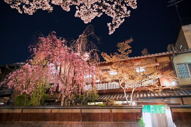 Kyoto Gion Night Walk & Geisha District Guided Tour 5