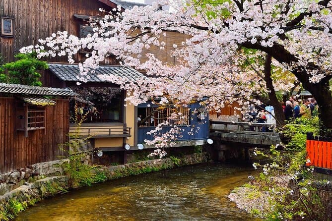 Kyoto Gion Night Walk & Geisha District Guided Tour 3