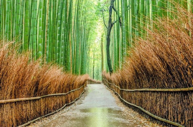 10 Must-see Spots in Kyoto One Day Private Tour 2