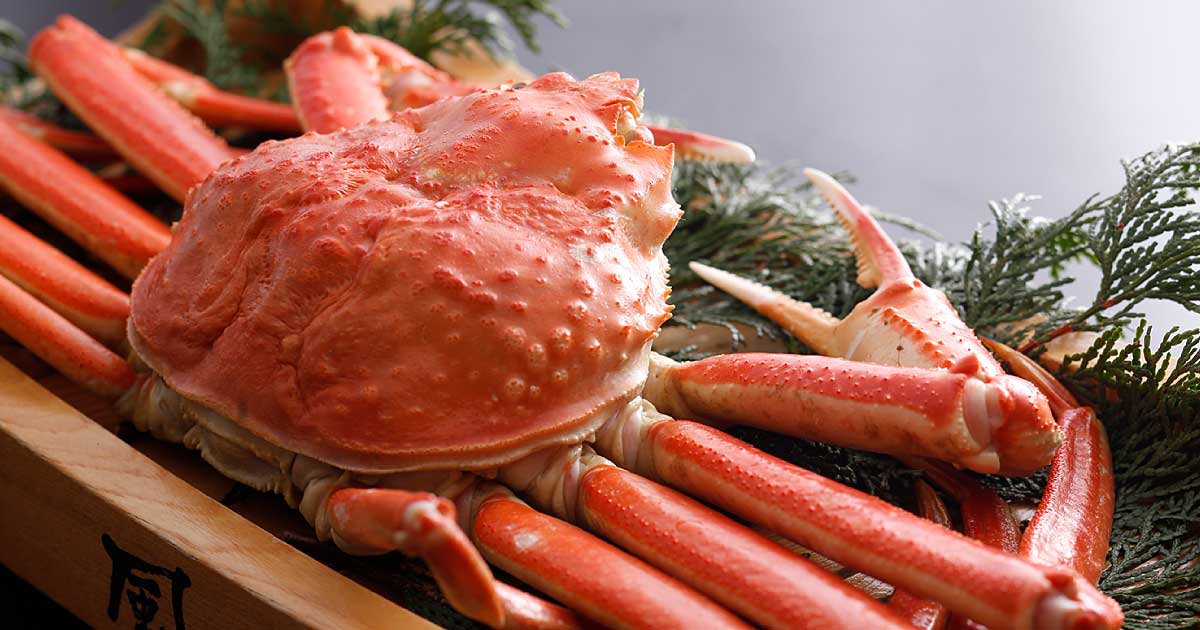 Whole snow crab presented on a wooden board at Ryokufukaku
