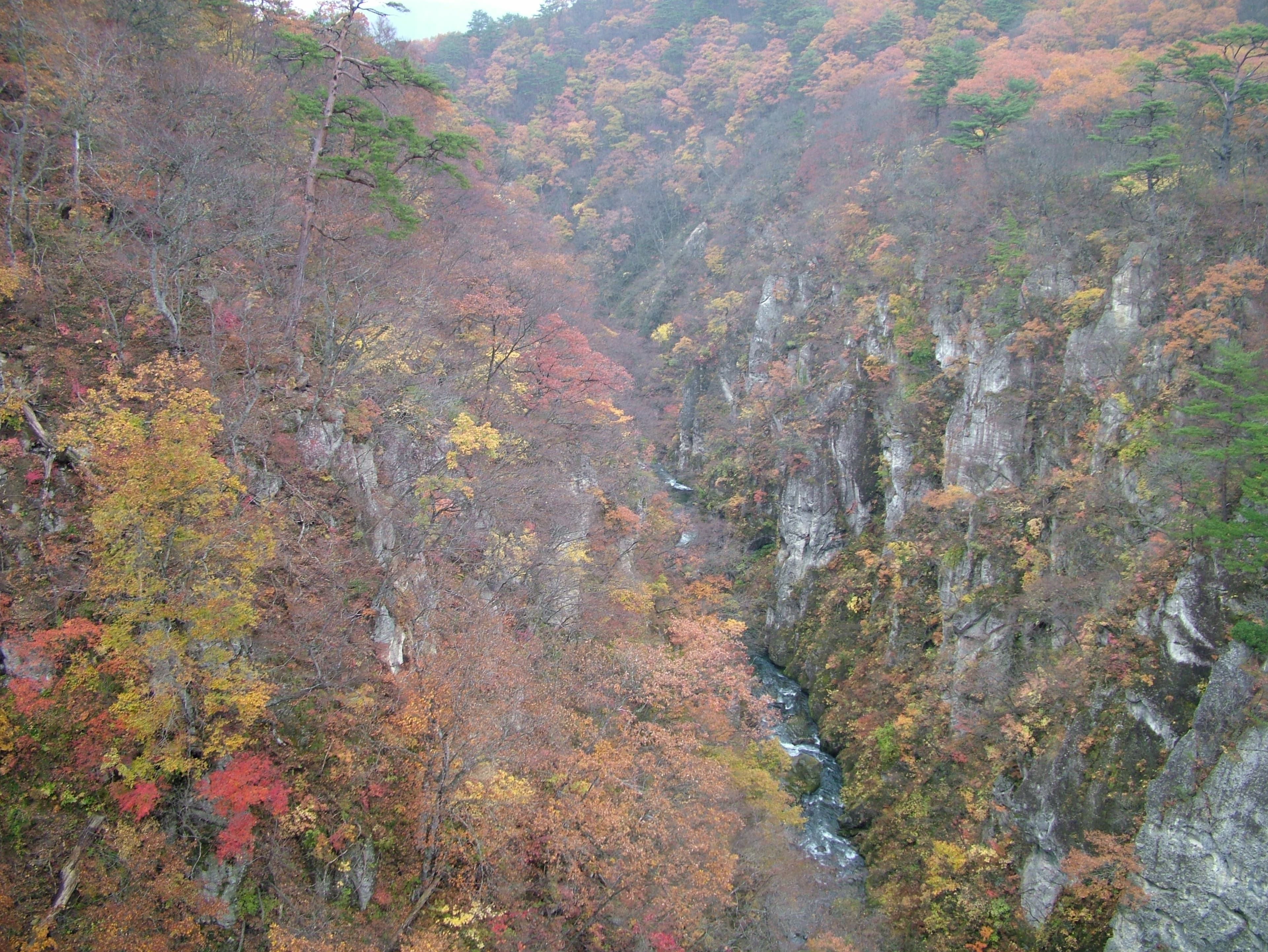Narukokyo gorge in peak autumn foliage, sheer canyon walls rising above the river near Naruko Onsen — photo by Ippukucho, CC BY 3.0