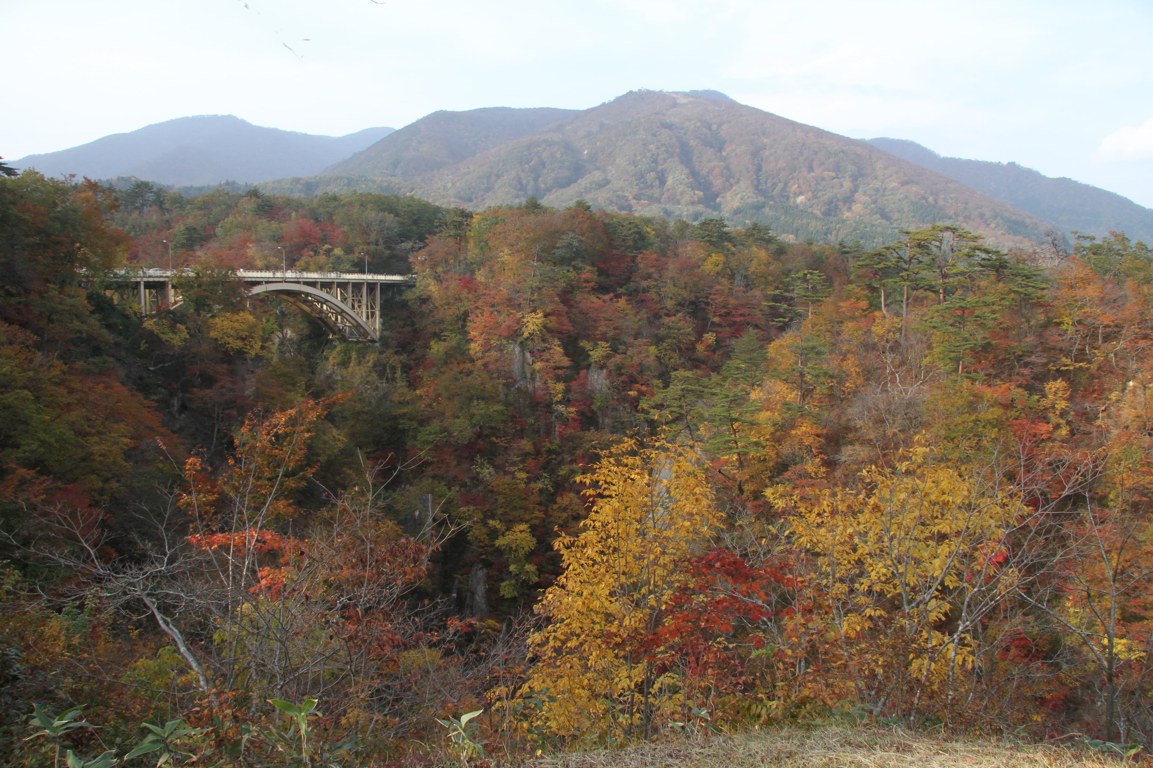 Naruko Gorge autumn foliage in Miyagi Prefecture Tohoku, red and orange maples over a traditional stone bridge in early morning mist