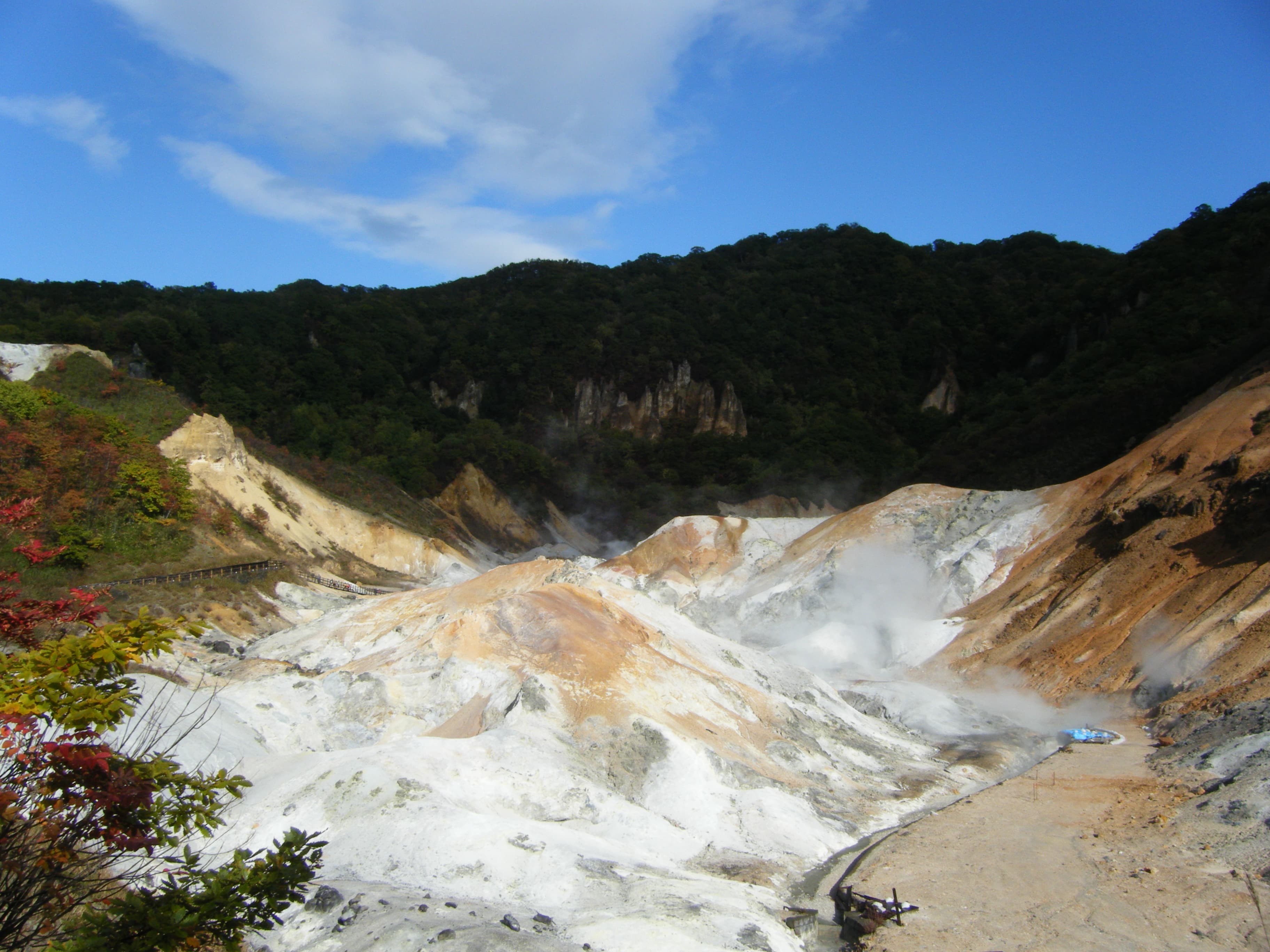 Best Ryokans in Hokkaido: 6 Areas, Verified Prices (2026)
