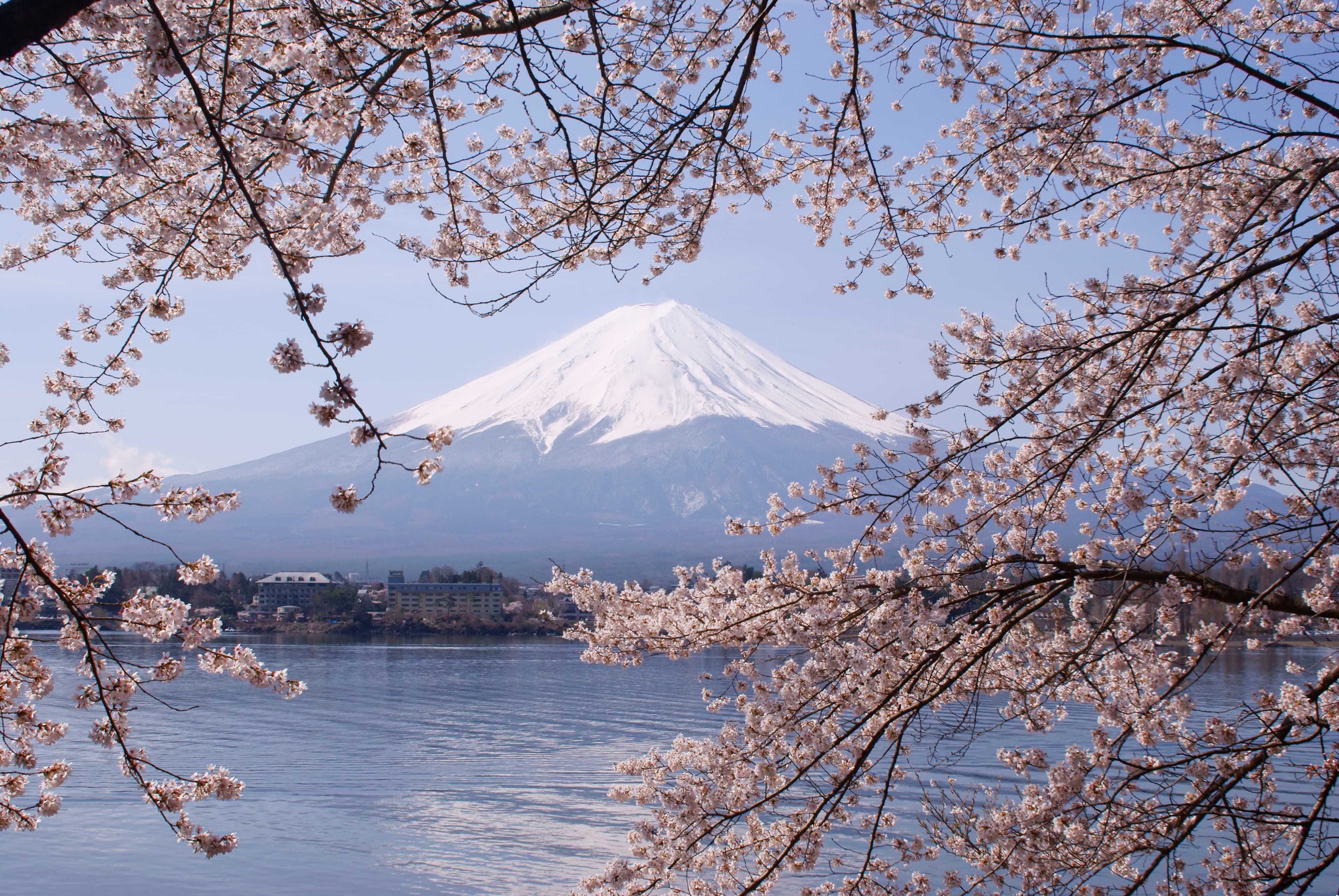 Mt. Fuji visibility calendar showing monthly cloud cover percentages for ryokan stays