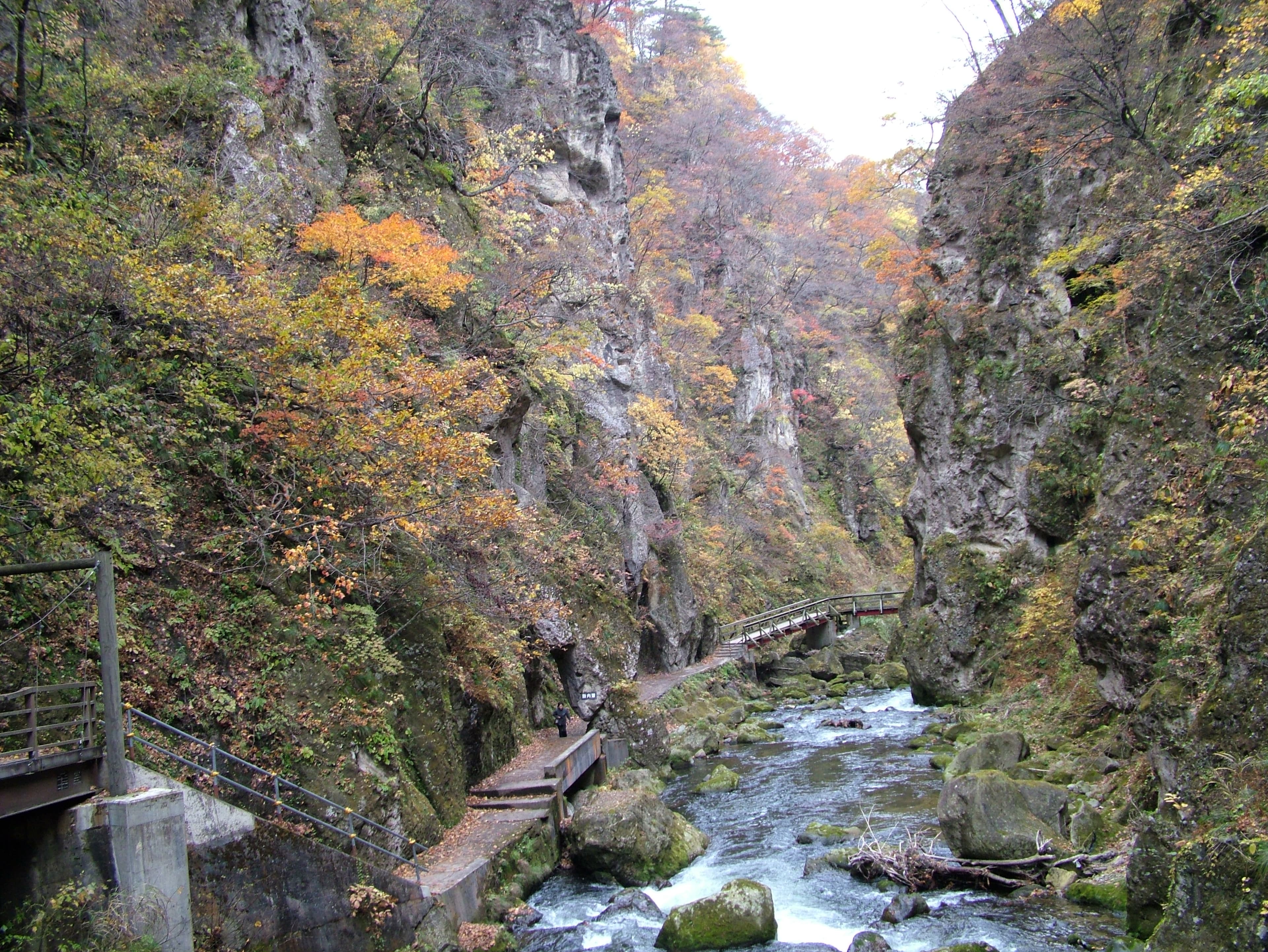 Narukokyo gorge walkway and river in autumn, near Ryokan Sugawara Naruko Onsen, Miyagi — photo by Ippukucho, CC BY 3.0