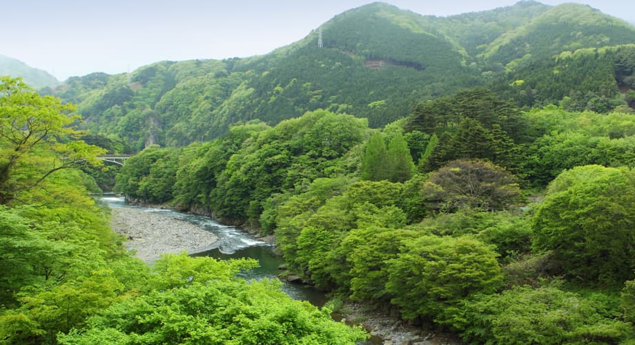 River gorge surrounded by dense green mountains