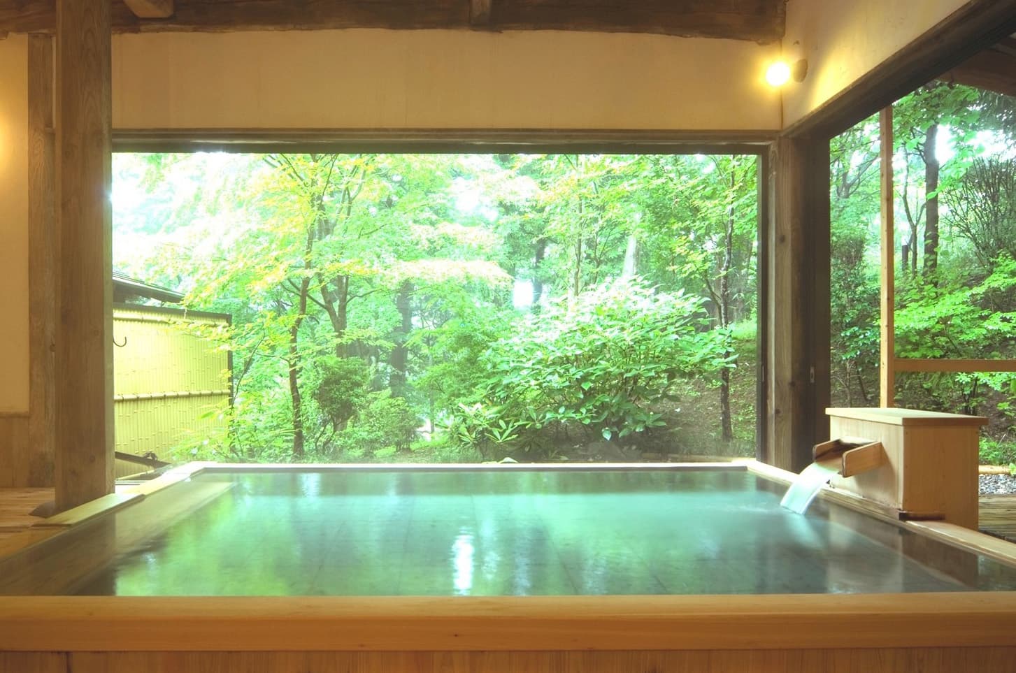 Wooden indoor hot spring bath at Nikko Hoshi no Yado looking out onto fresh green maple foliage