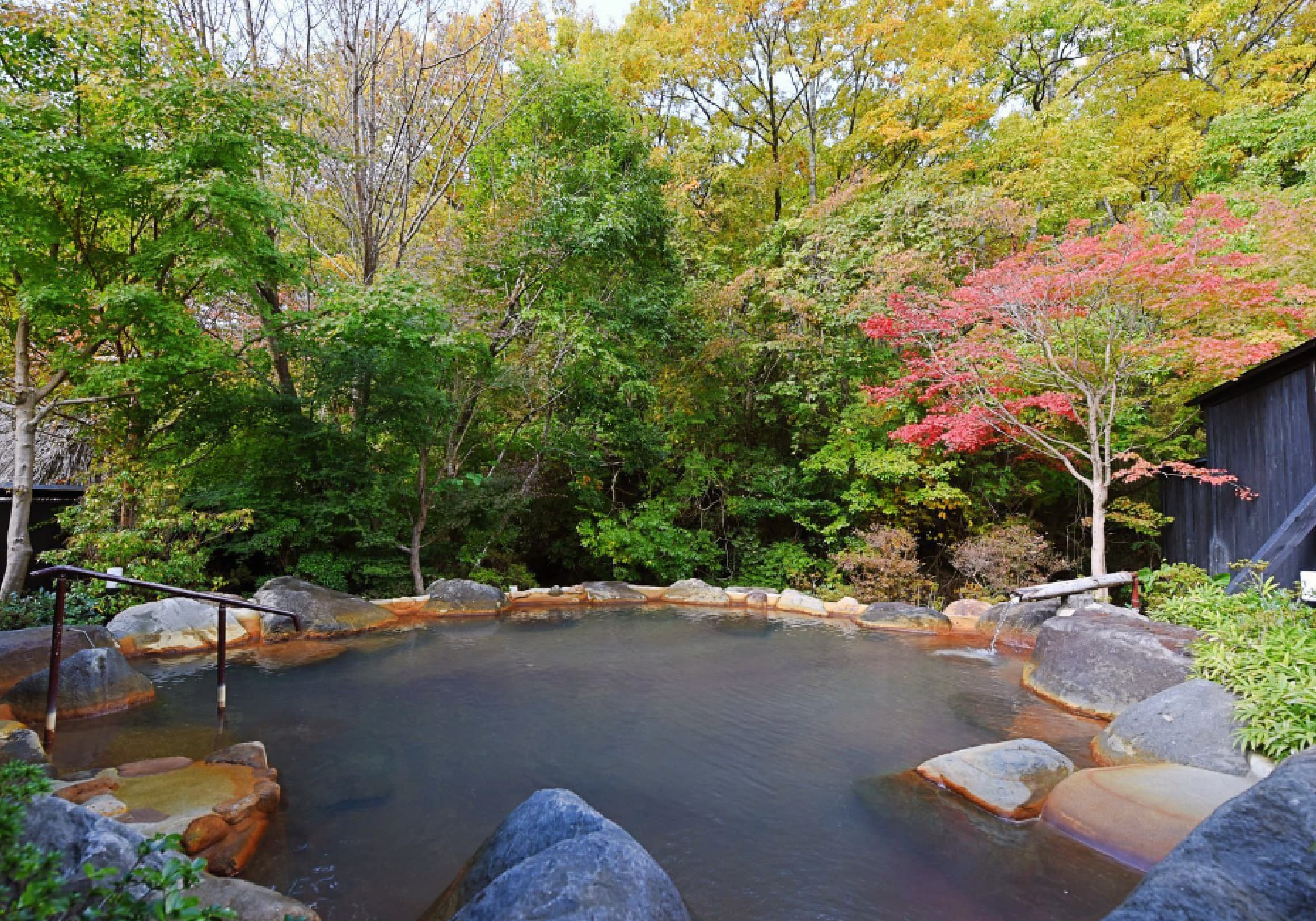 Open-air rotenburo bath rimmed with natural stones surrounded by autumn forest at Miyama Sansou