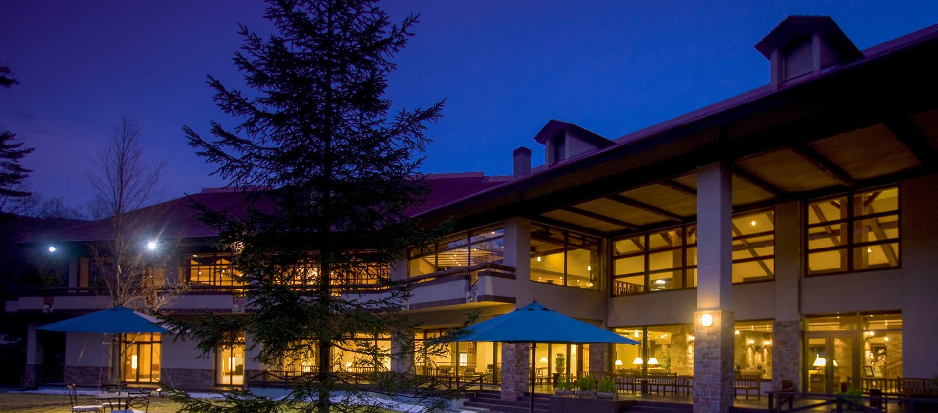 Hakuba Tokyu Hotel exterior at dusk with warmly lit windows and a tall conifer in the foreground garden